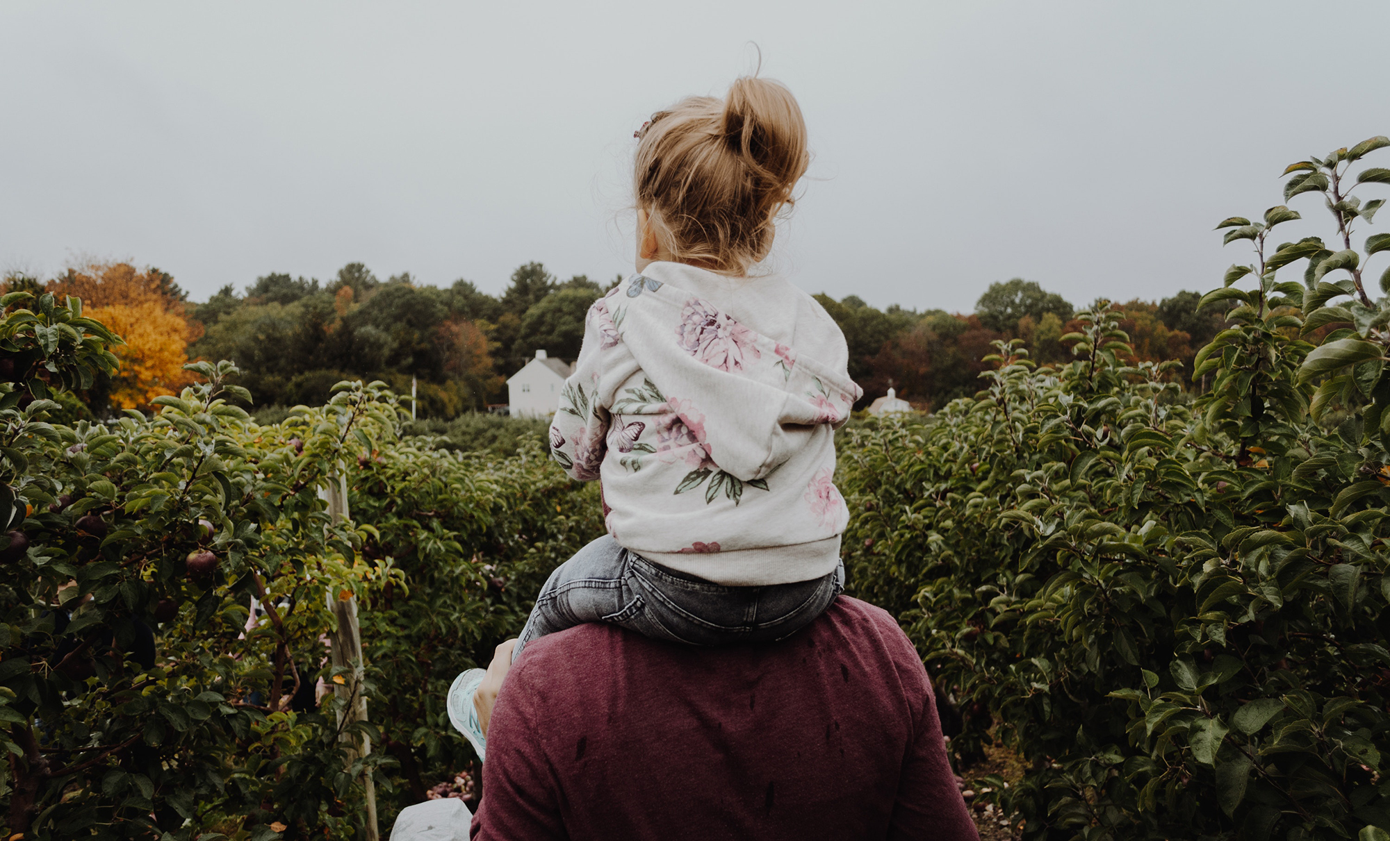 Fathers, Don’t Let Them Die
