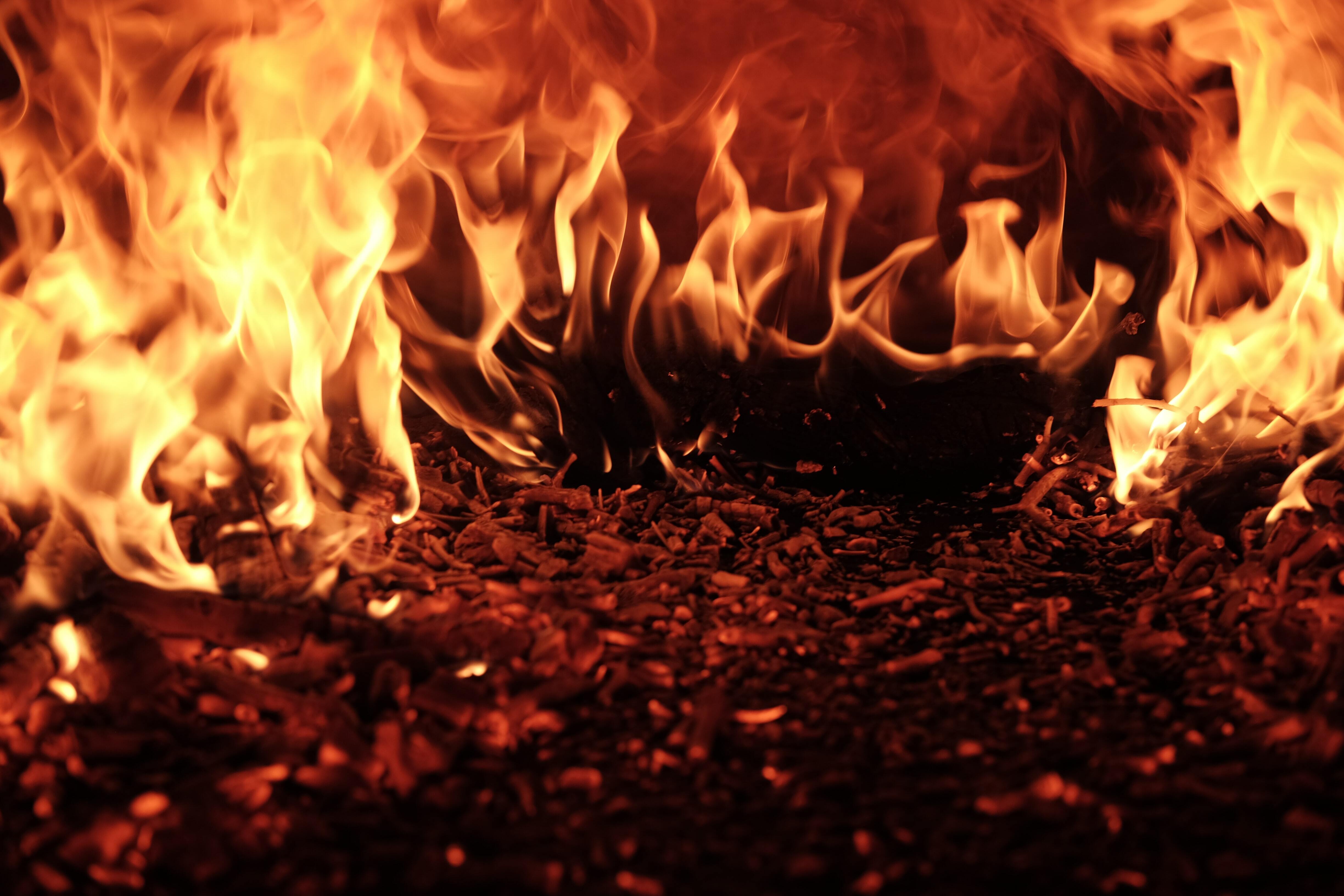 Epistle: James 3:1-12 (Pentecost 16: Series B)