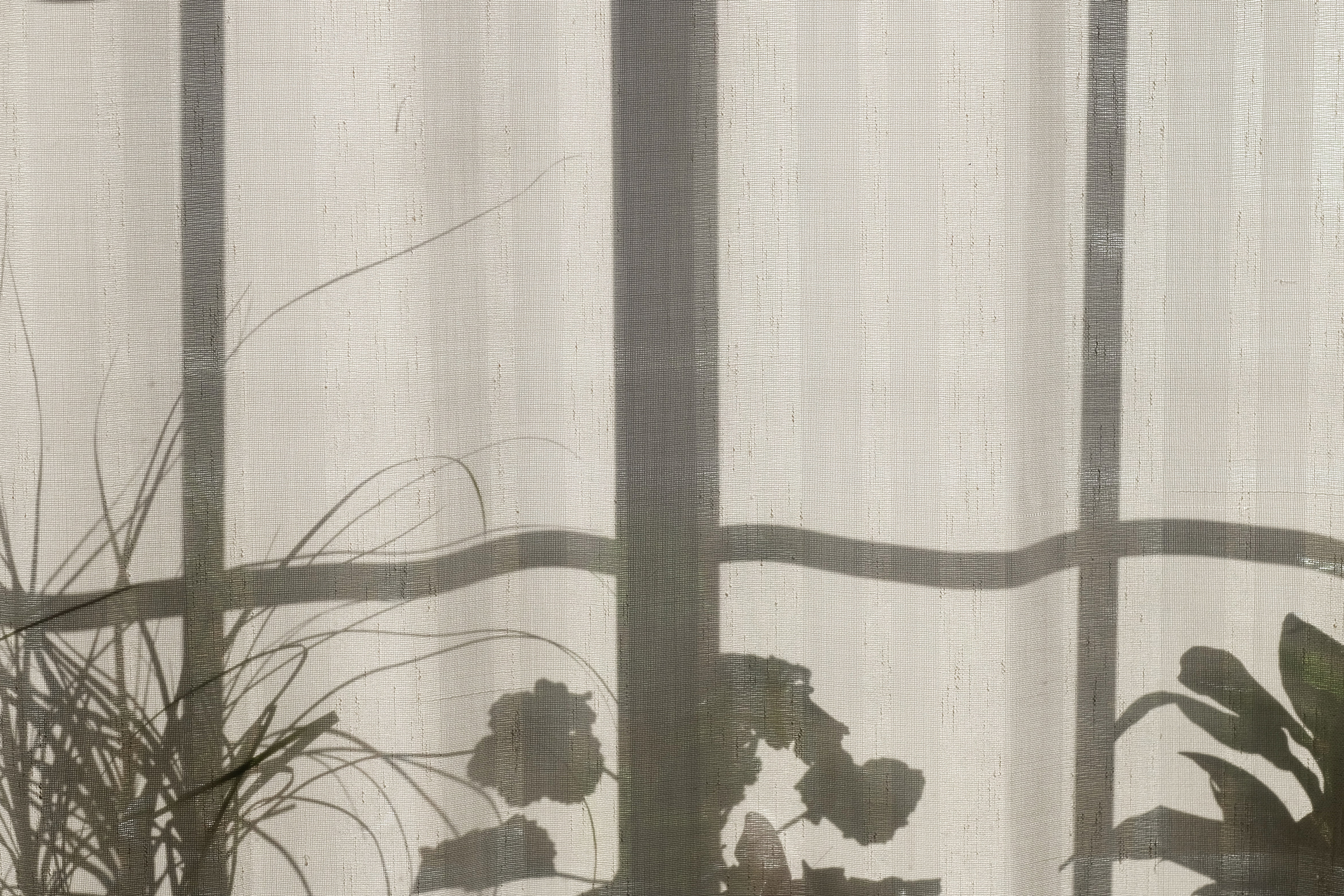 Hope Within The Shadows…