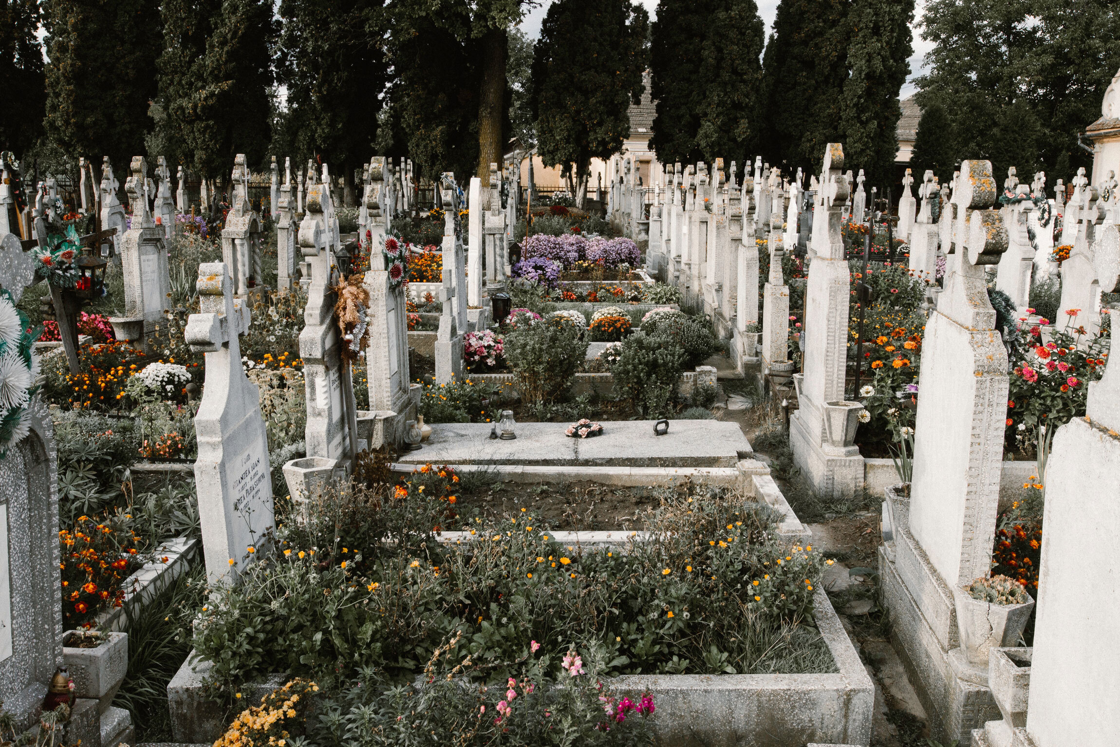 Remembering the Dead: Preparing to Preach on All Saints Sunday