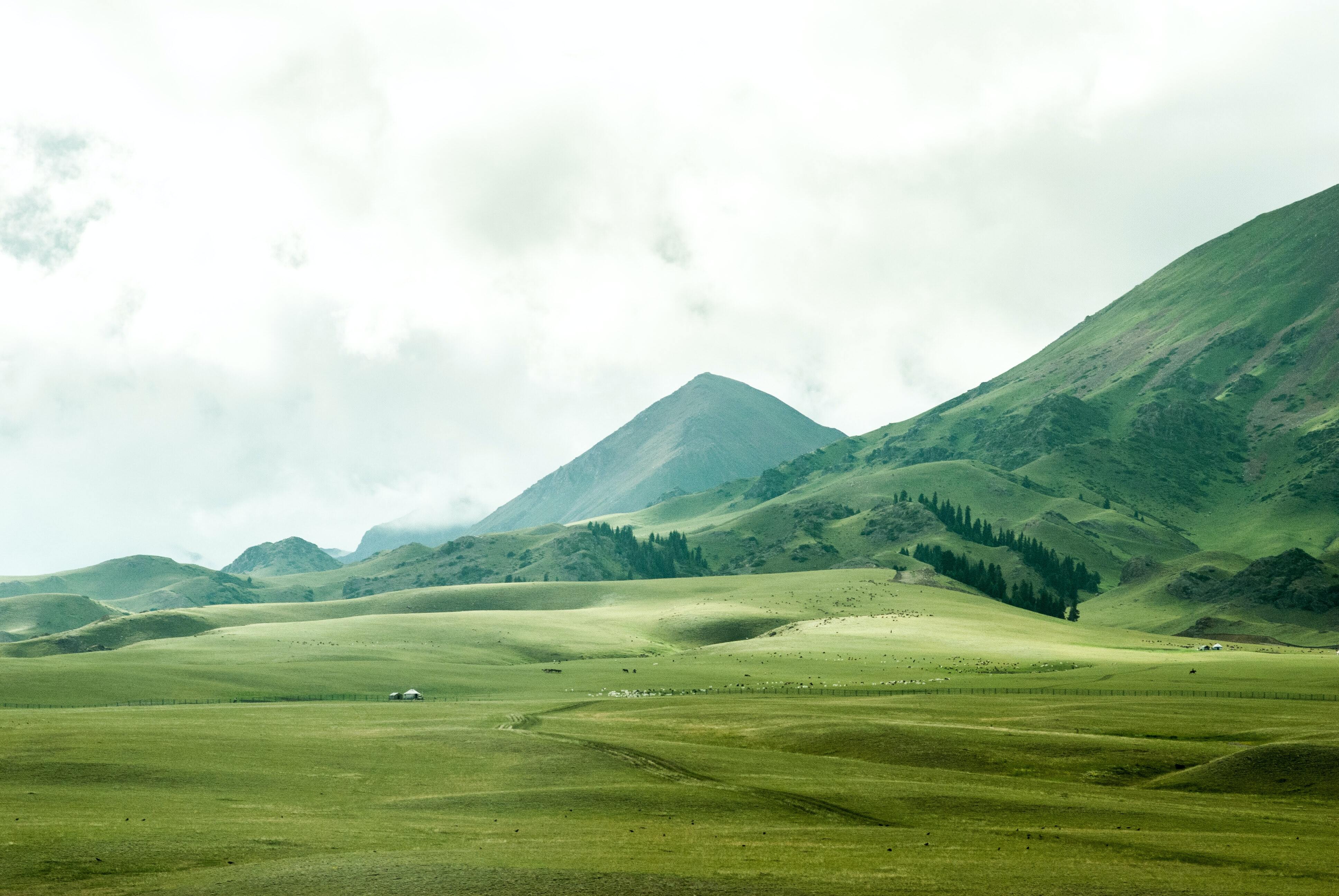 The Color Green