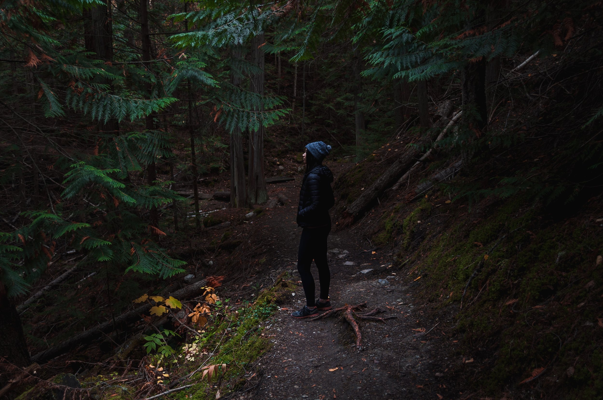 The Law, Between Fear and Freedom