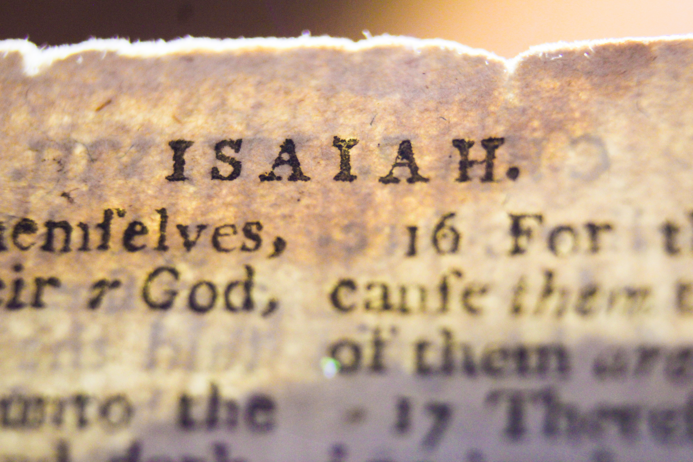 Old Testament: Isaiah 65:1-9 (Pentecost 2: Series C)