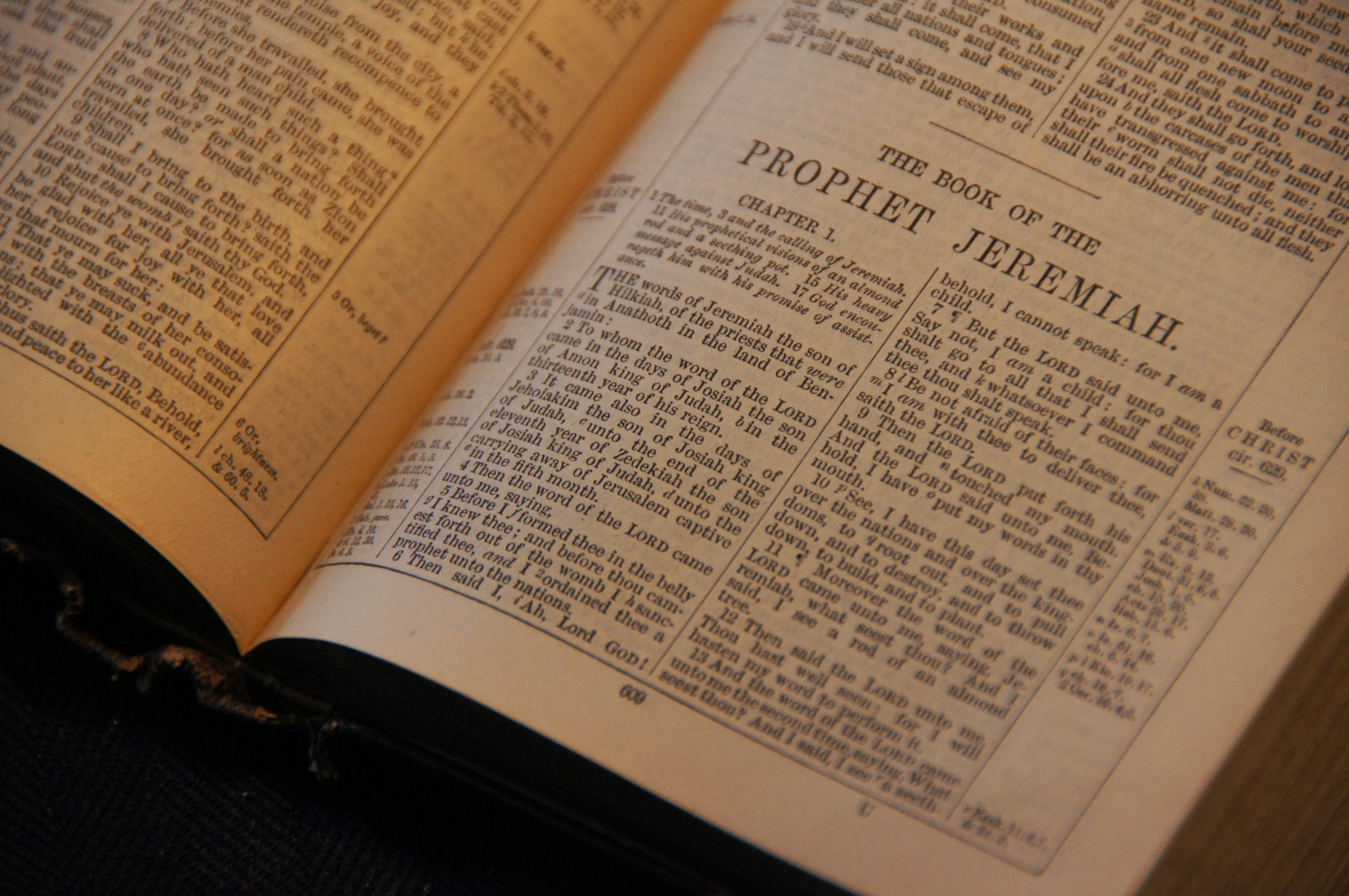 Old Testament: Jeremiah 17:5-8 (Epiphany 6: Series C)