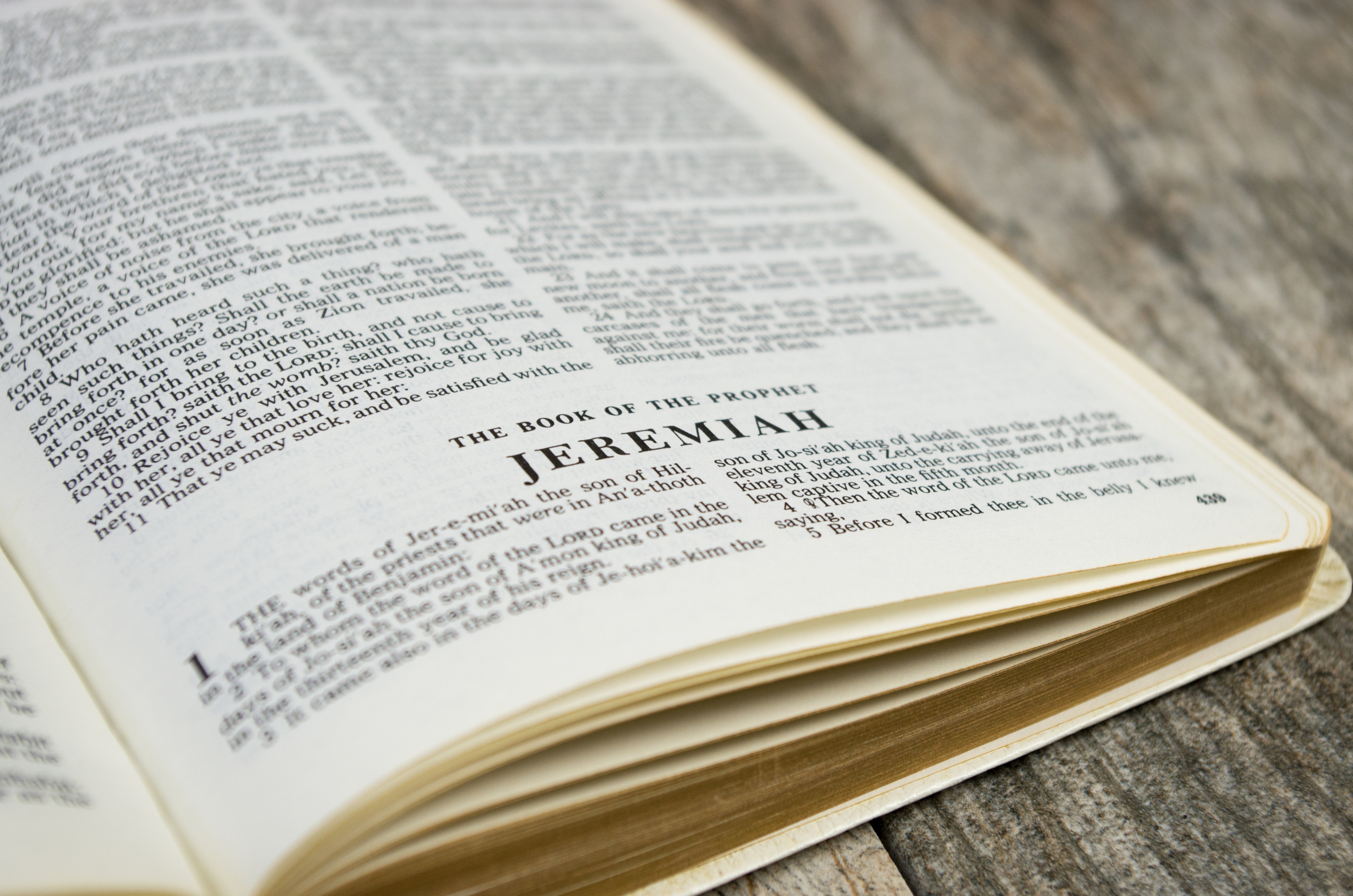 Old Testament: Jeremiah 23: 16-29 (Pentecost 10: Series C)