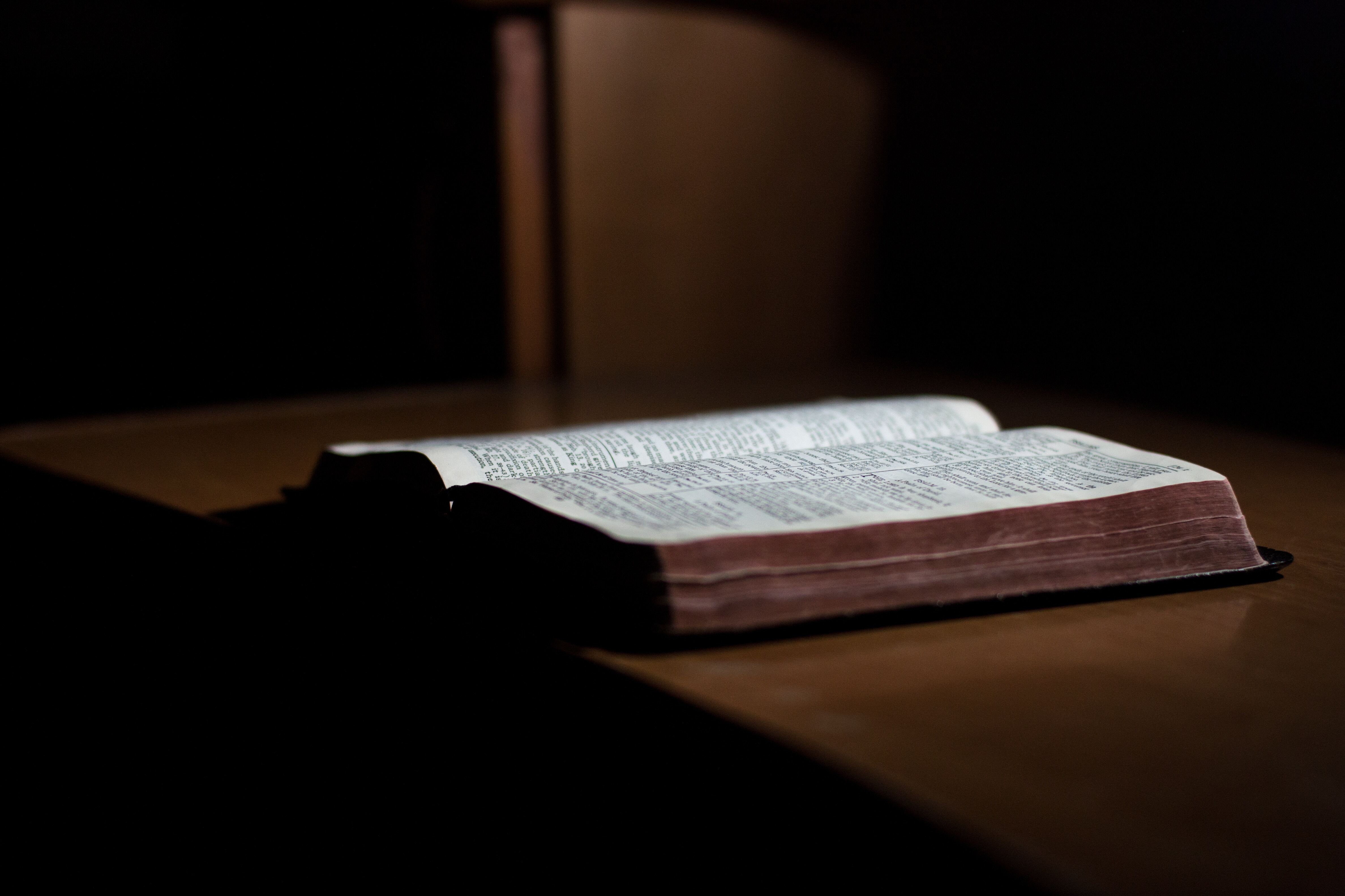 Gospel: Luke 10:1-20 (Pentecost 4: Series C)
