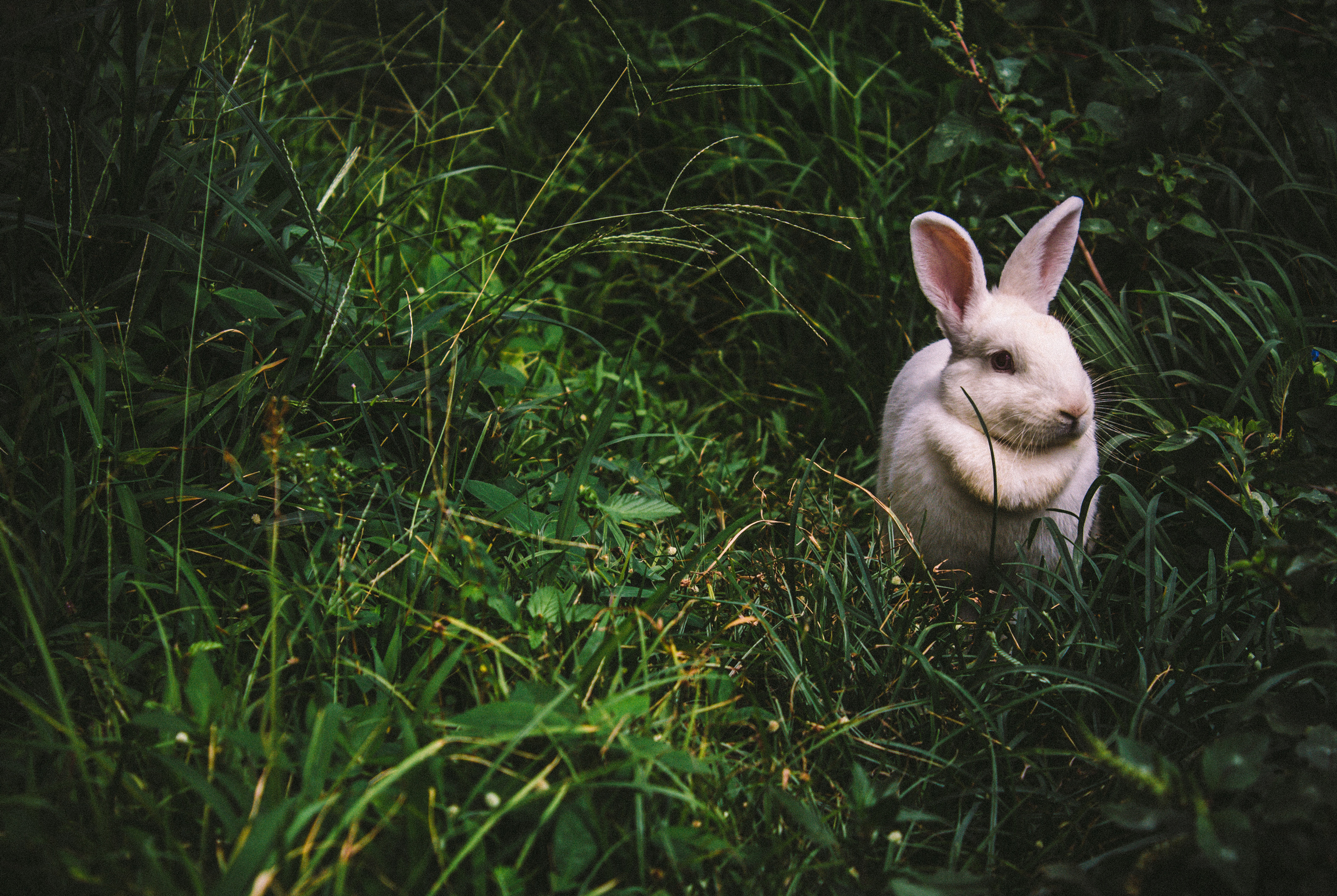 Tell the Easter Bunny How Much You’ve Grown