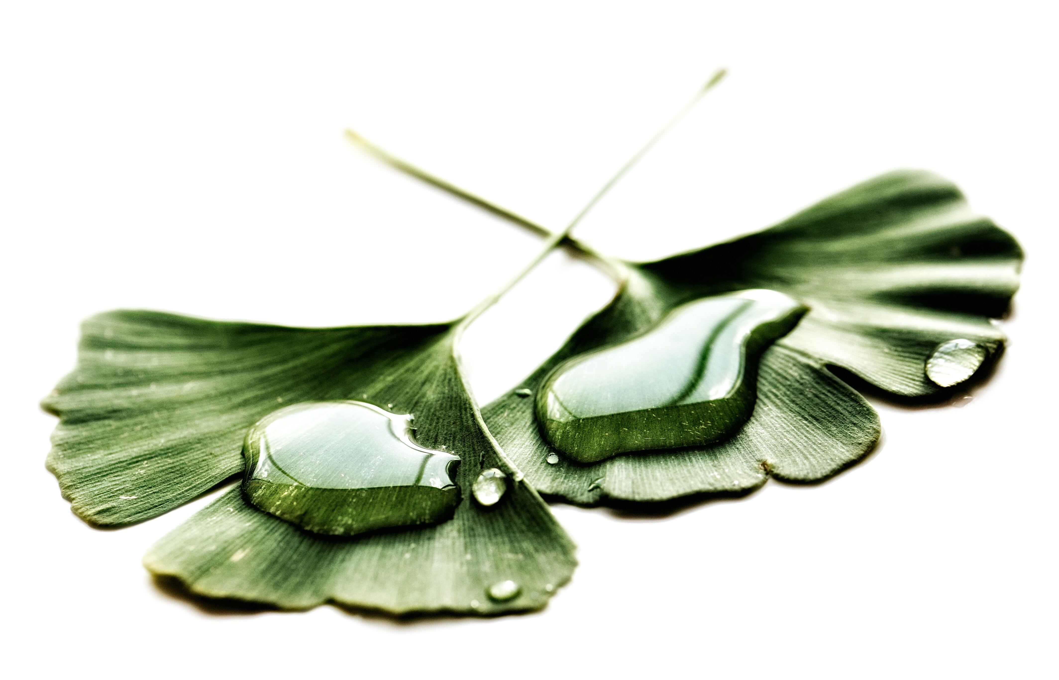 Young Earth, Old Earth - What Of The Gospel?