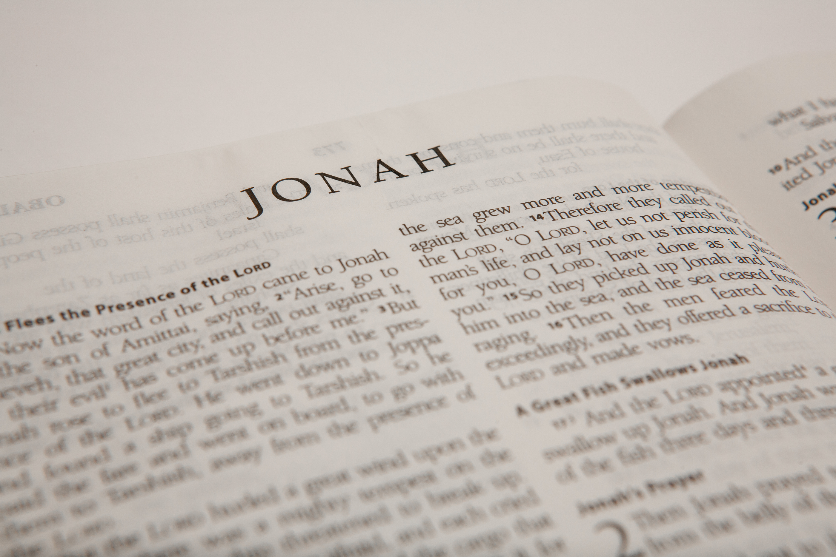 Put Your Trust in Jonah