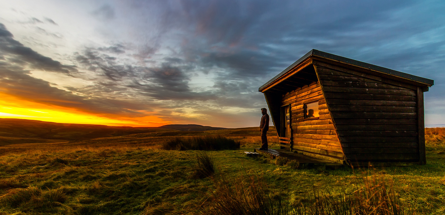 The Fruit of a Culture That Worships Individualism: Loneliness