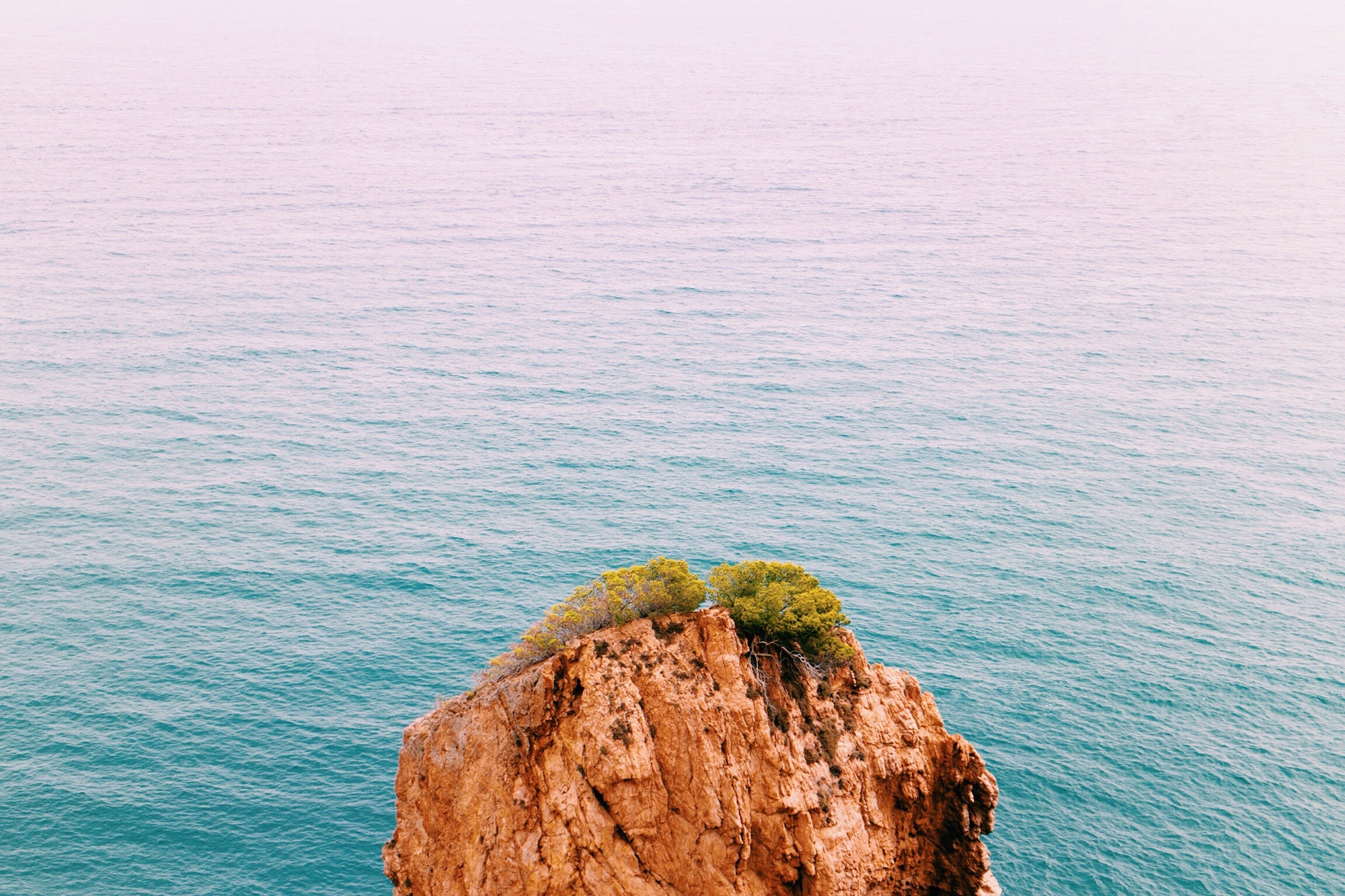 A Look at 2 Peter 2: Has God Truly Said?