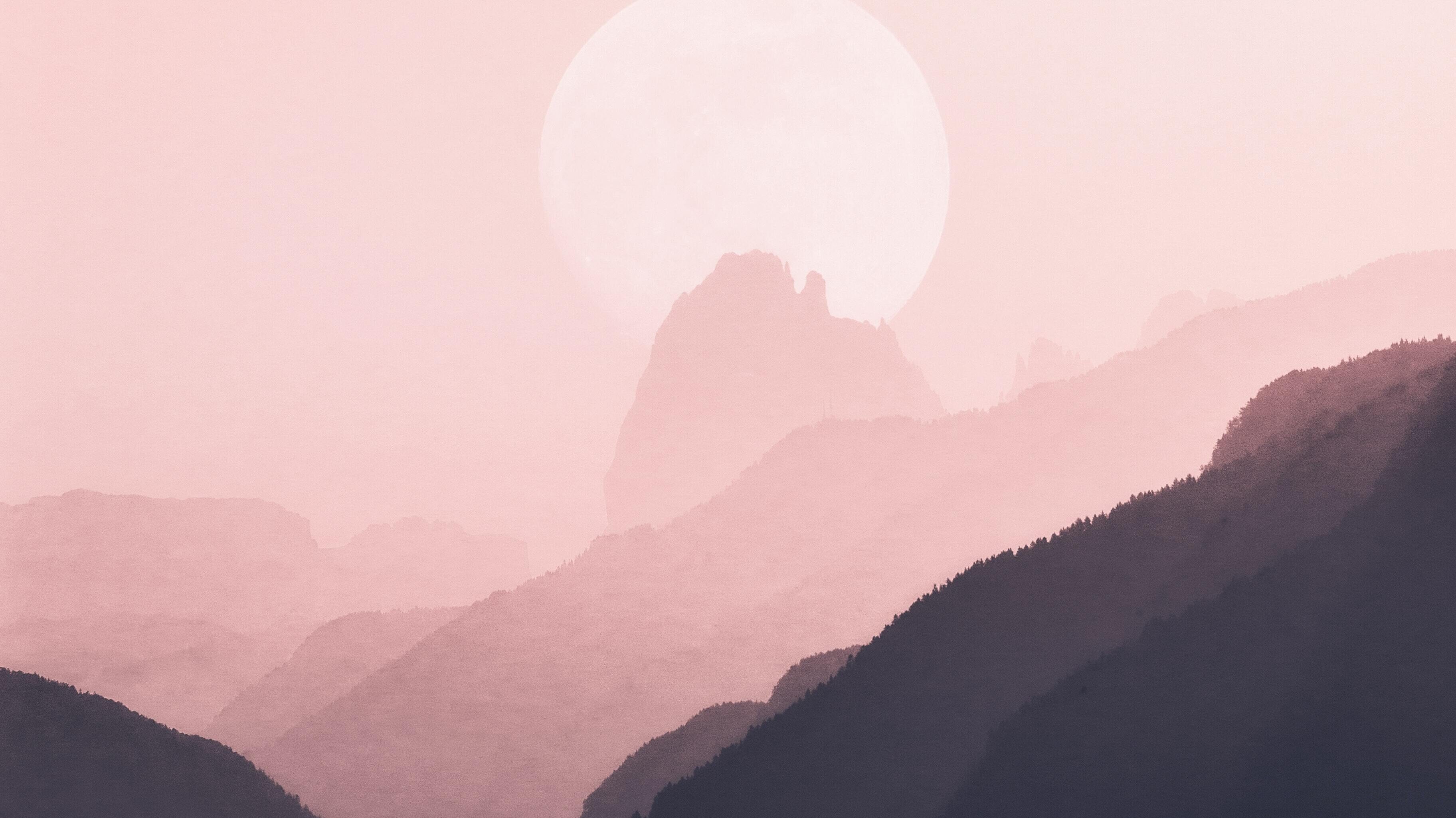 Jesus: Revealer of Truth