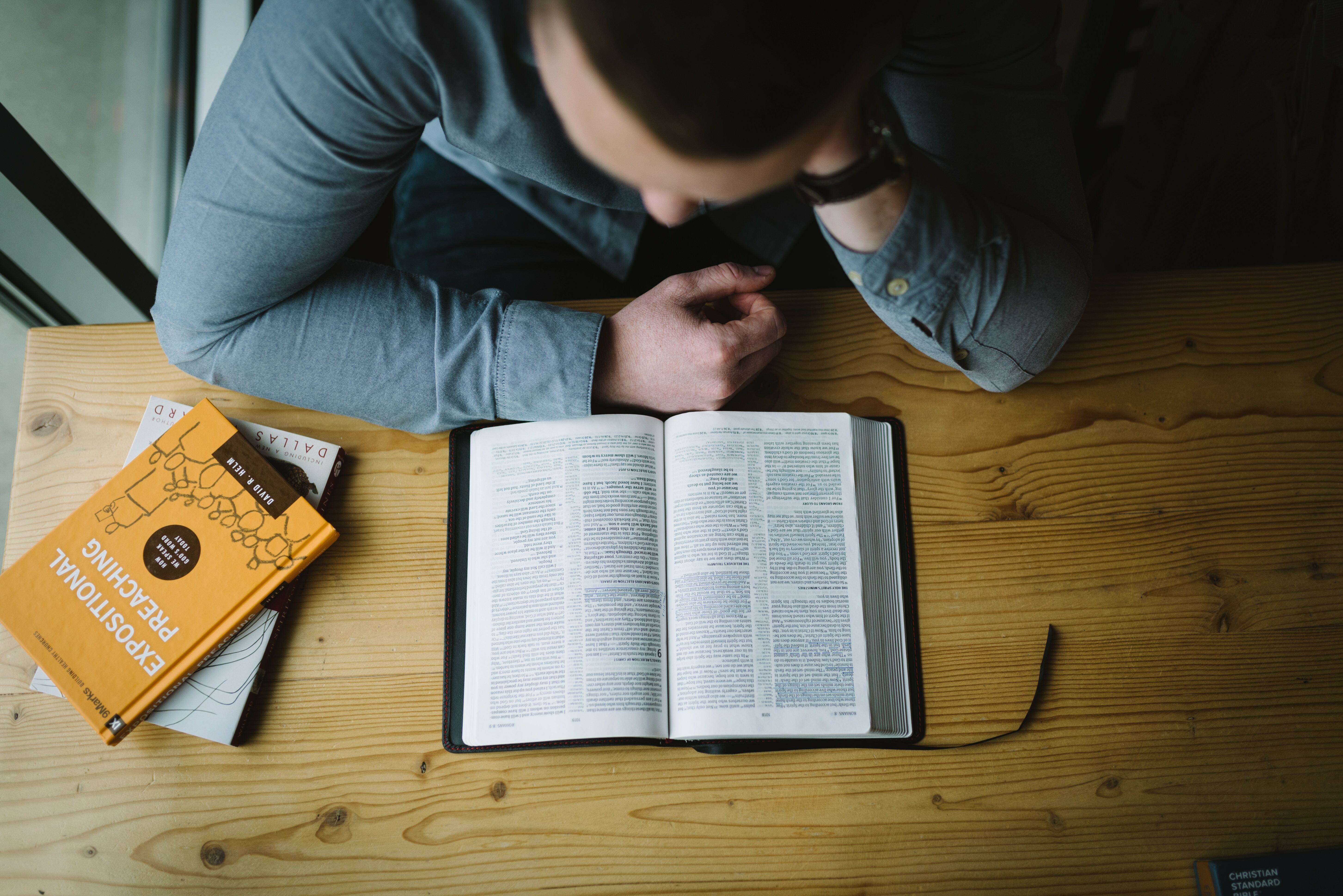 Old Testament: Ecclesiastes 1:2,12–14; 2:18–26 (Pentecost 8: Series C)