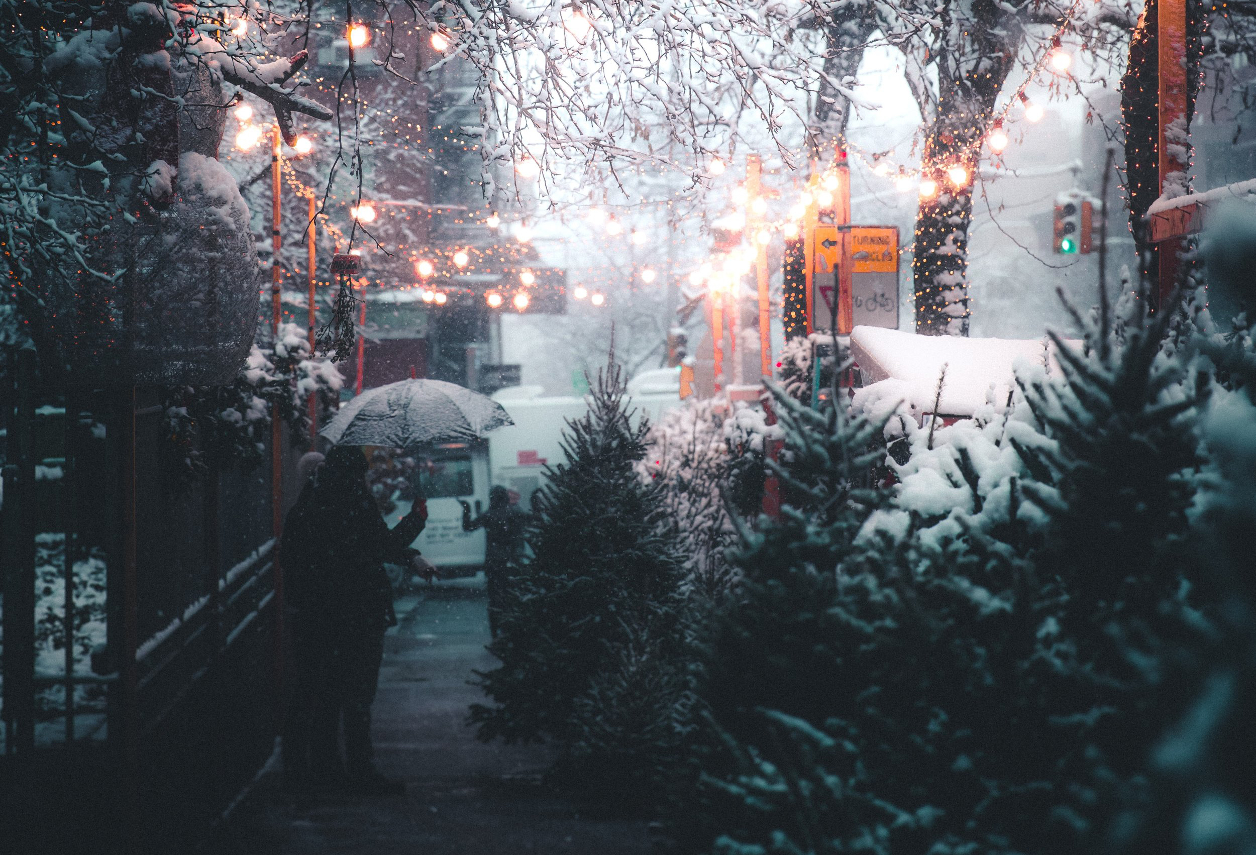 Bright Valley of Love: A Story for Preachers as Advent Turns Toward Christmas