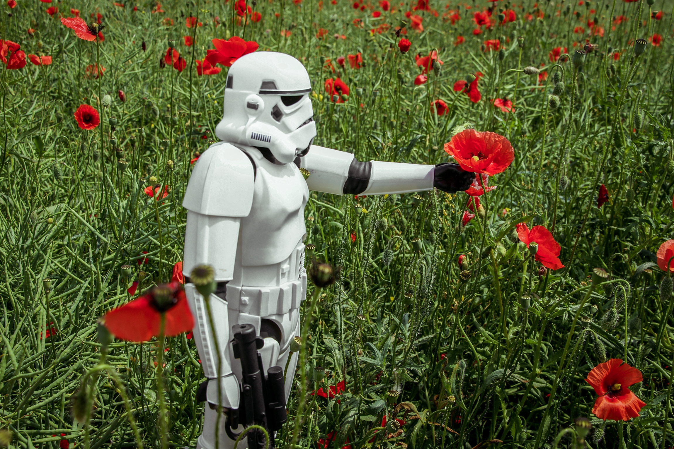 I Find My Lack of Faith Disturbing