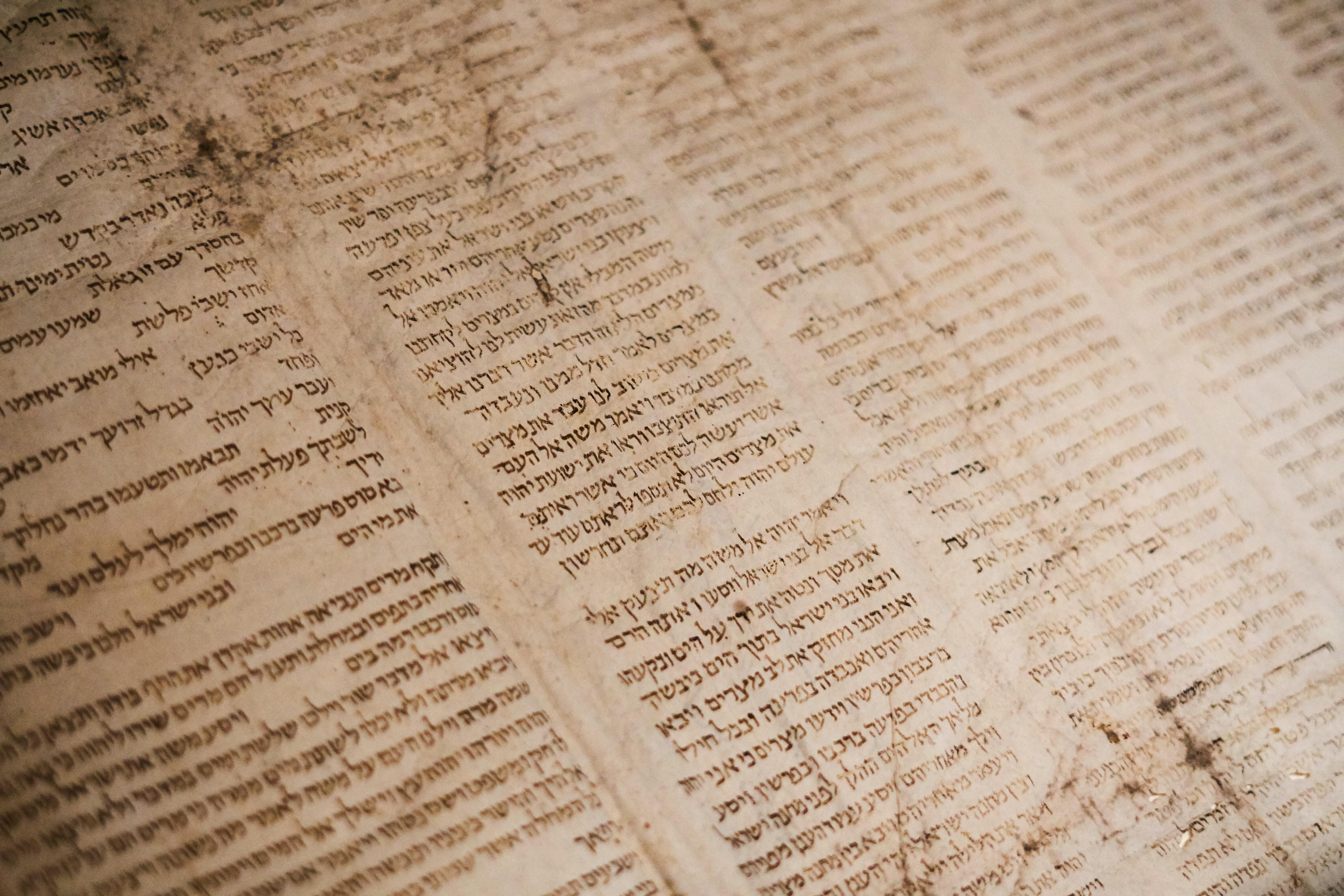Old Testament: Psalm 1 (Easter 7: Series B)