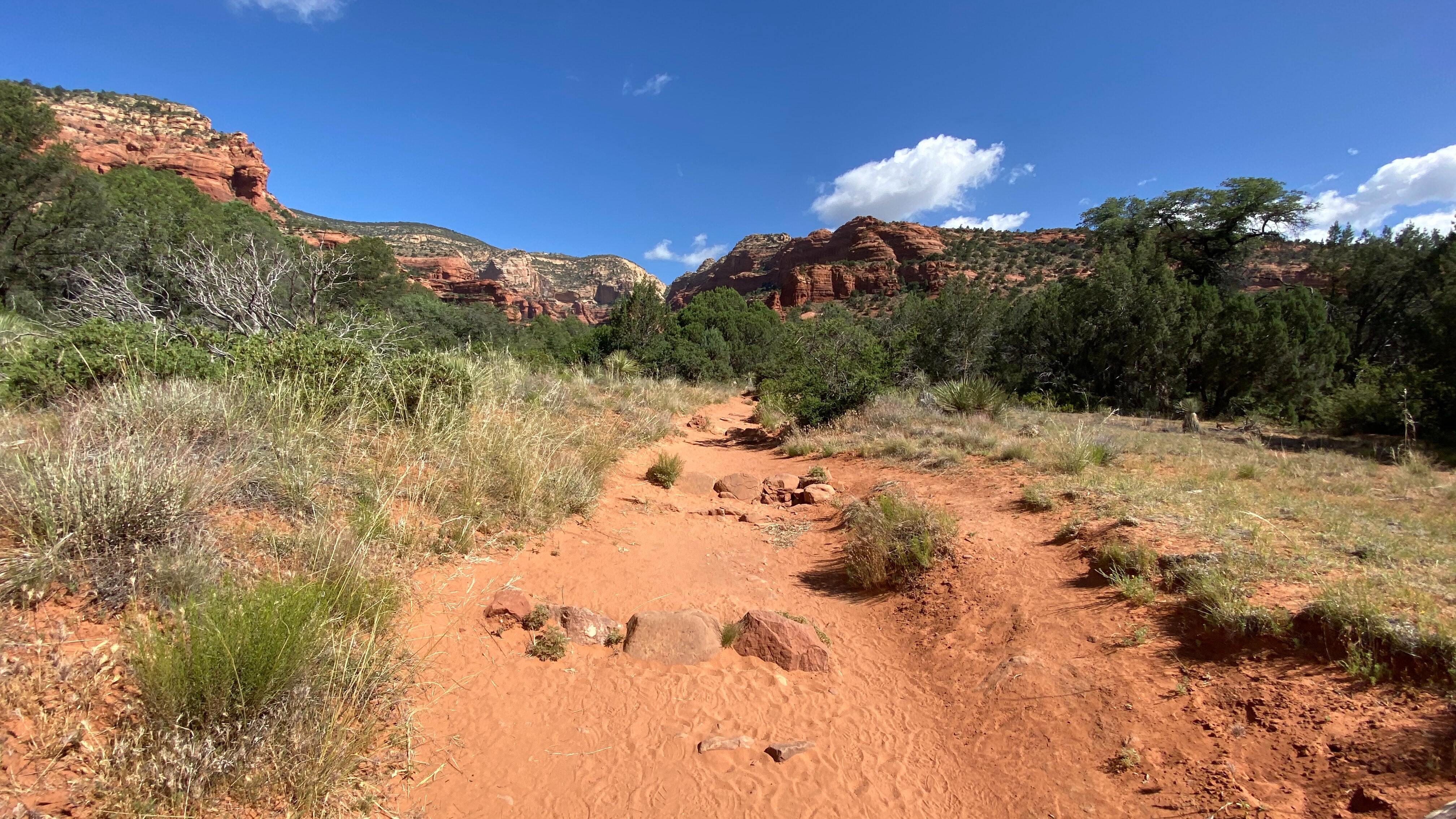 The Uncivilized Baptist: Why John Beckons Us to the Wilderness