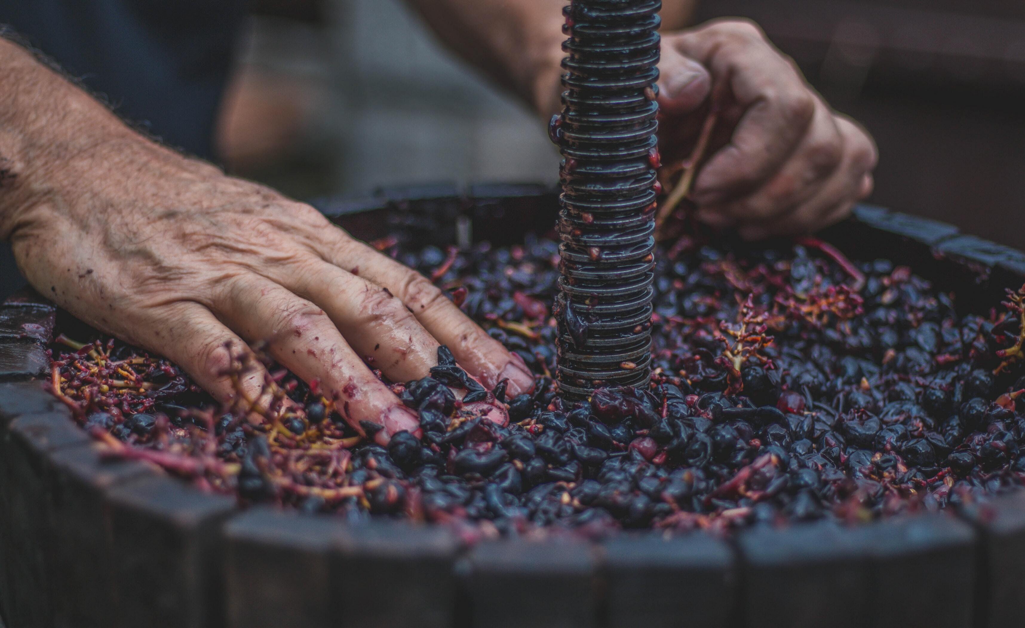 Christian Drinking: Wine that Overflows