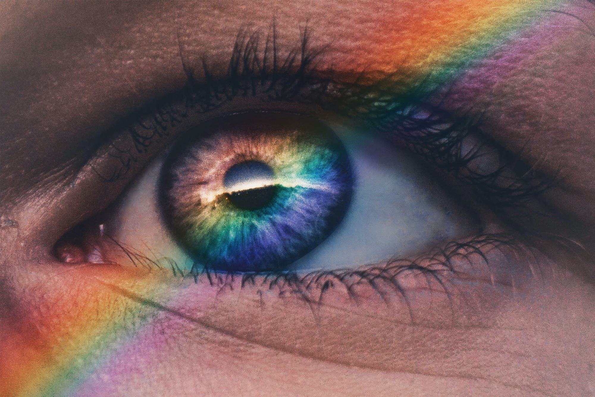 Old Testament: Genesis 9:8-17 (Pentecost 10: Series B)
