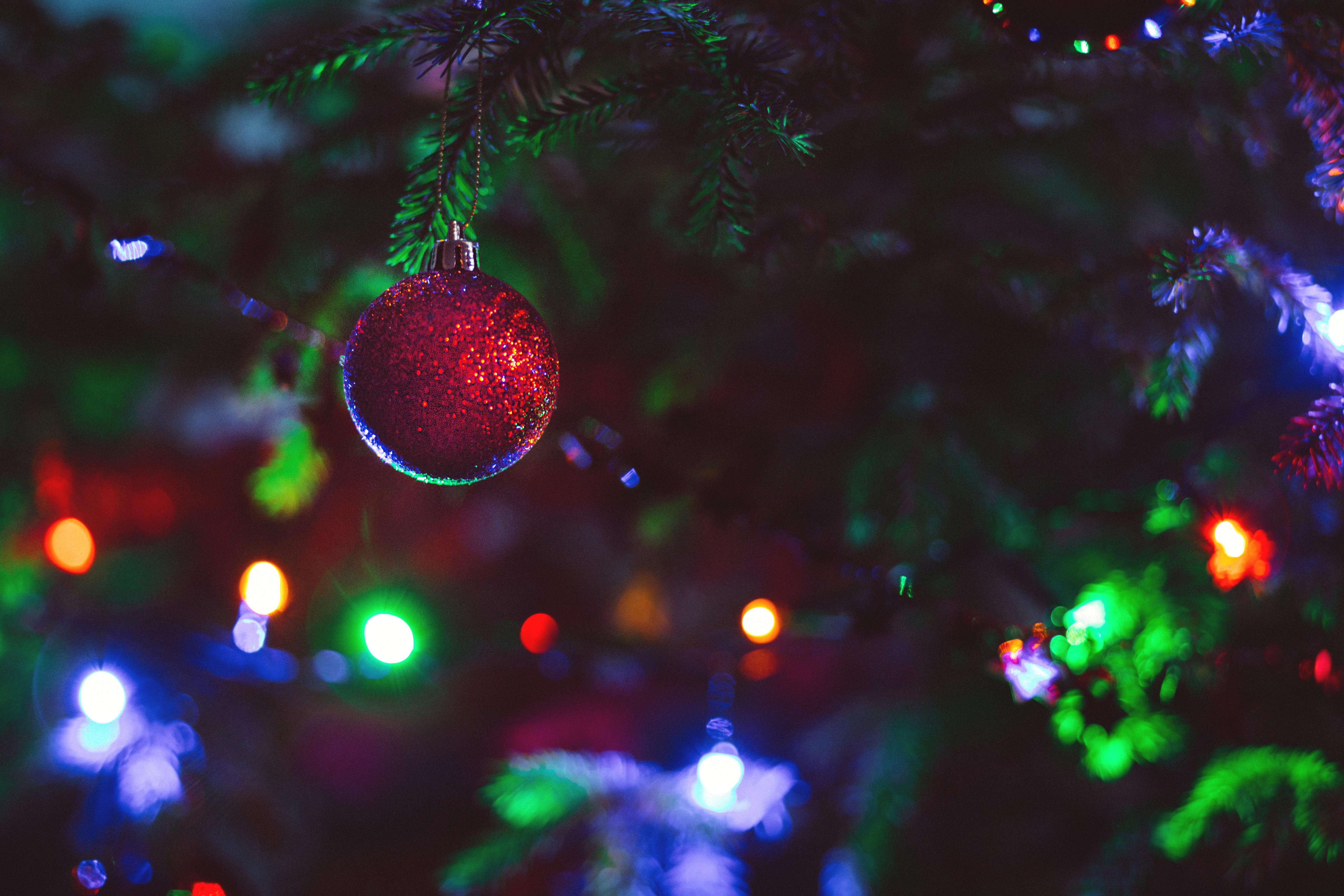 Christmas joy...or Maybe...Christmas Guilt