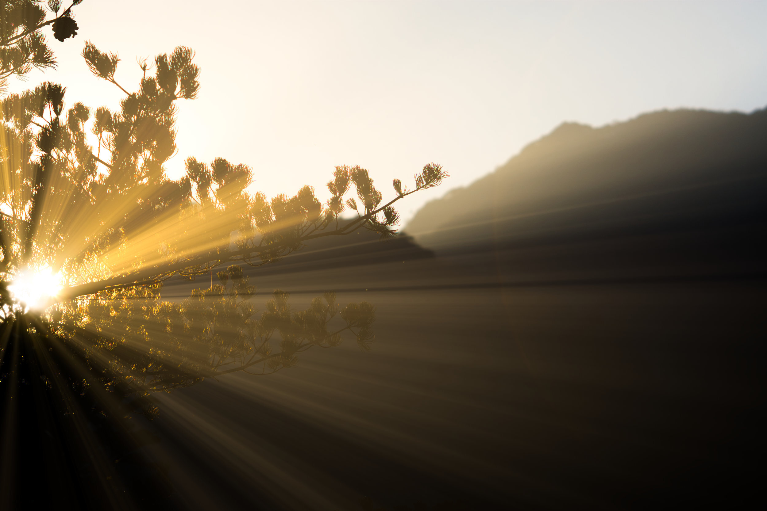 Gospel: Matthew 4:12-25 (Epiphany 3: Series A)