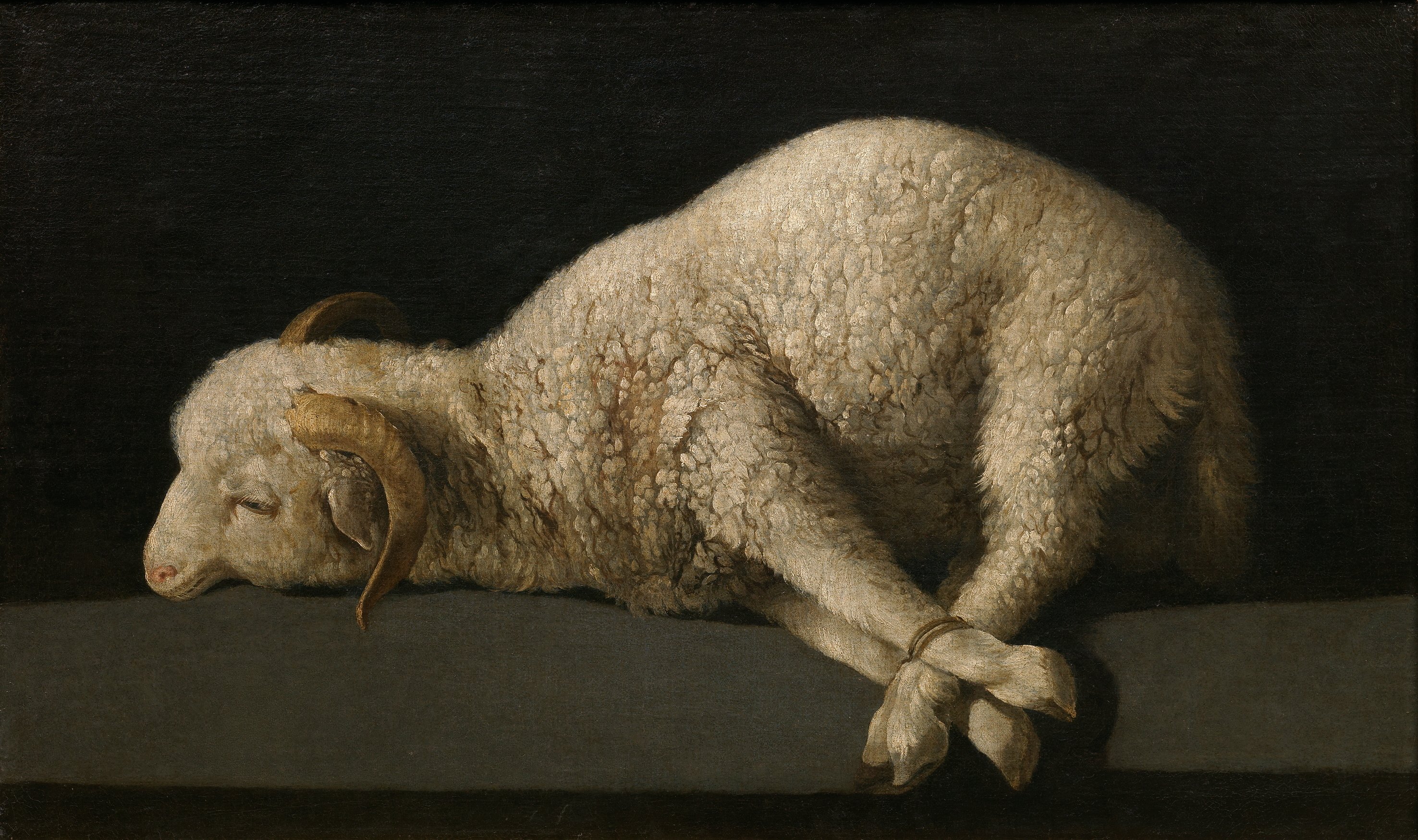 Behold the Lamb