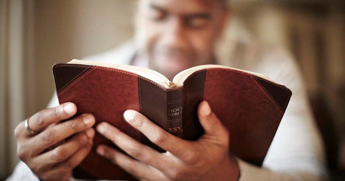 What Does the Text Really Say?