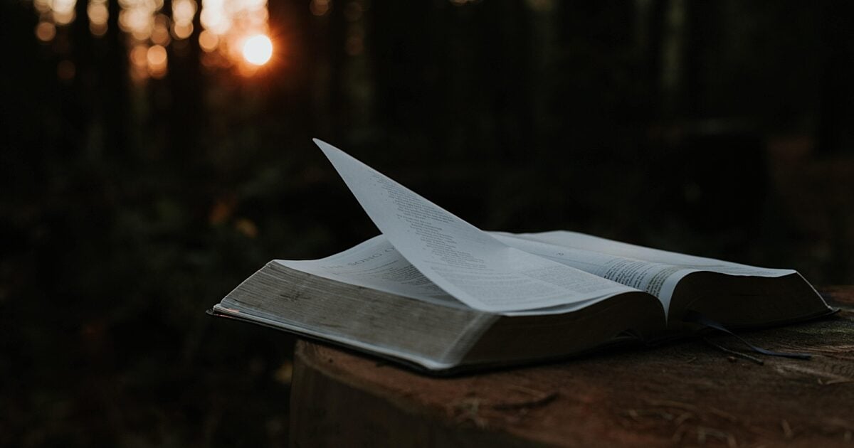 Epistle: Ephesians 1:3-14 (Pentecost 8: Series B)