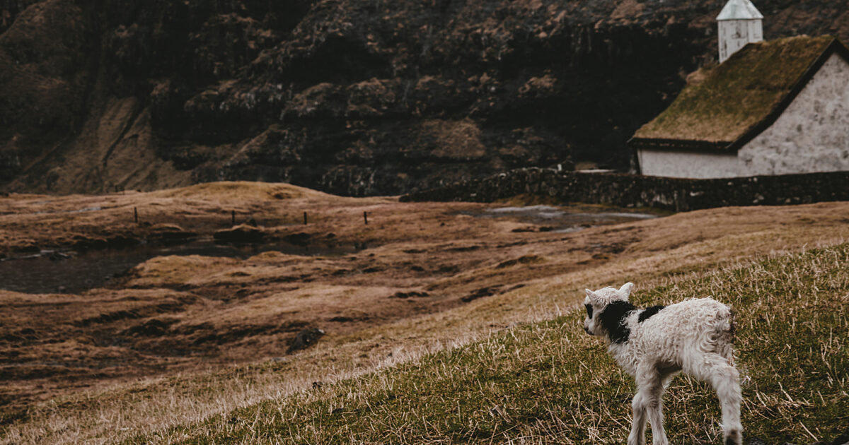 Old Testament: Psalm 23 (Easter 4: Series B)