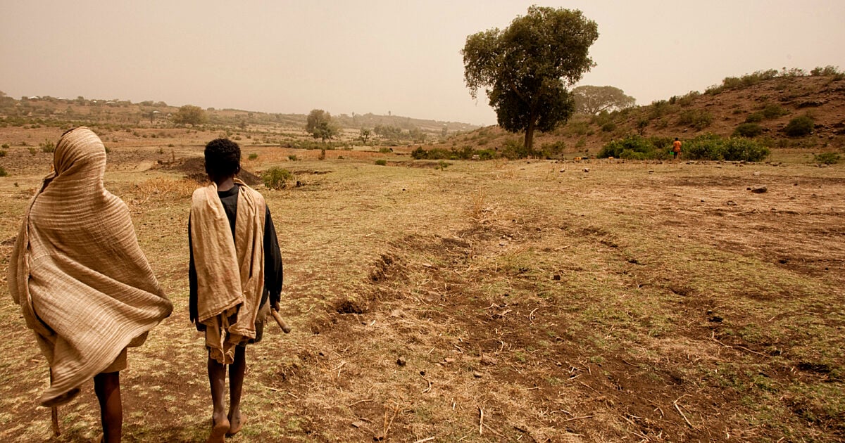 Epistle: Hebrews 5:1-10 (Lent 5: Series B)