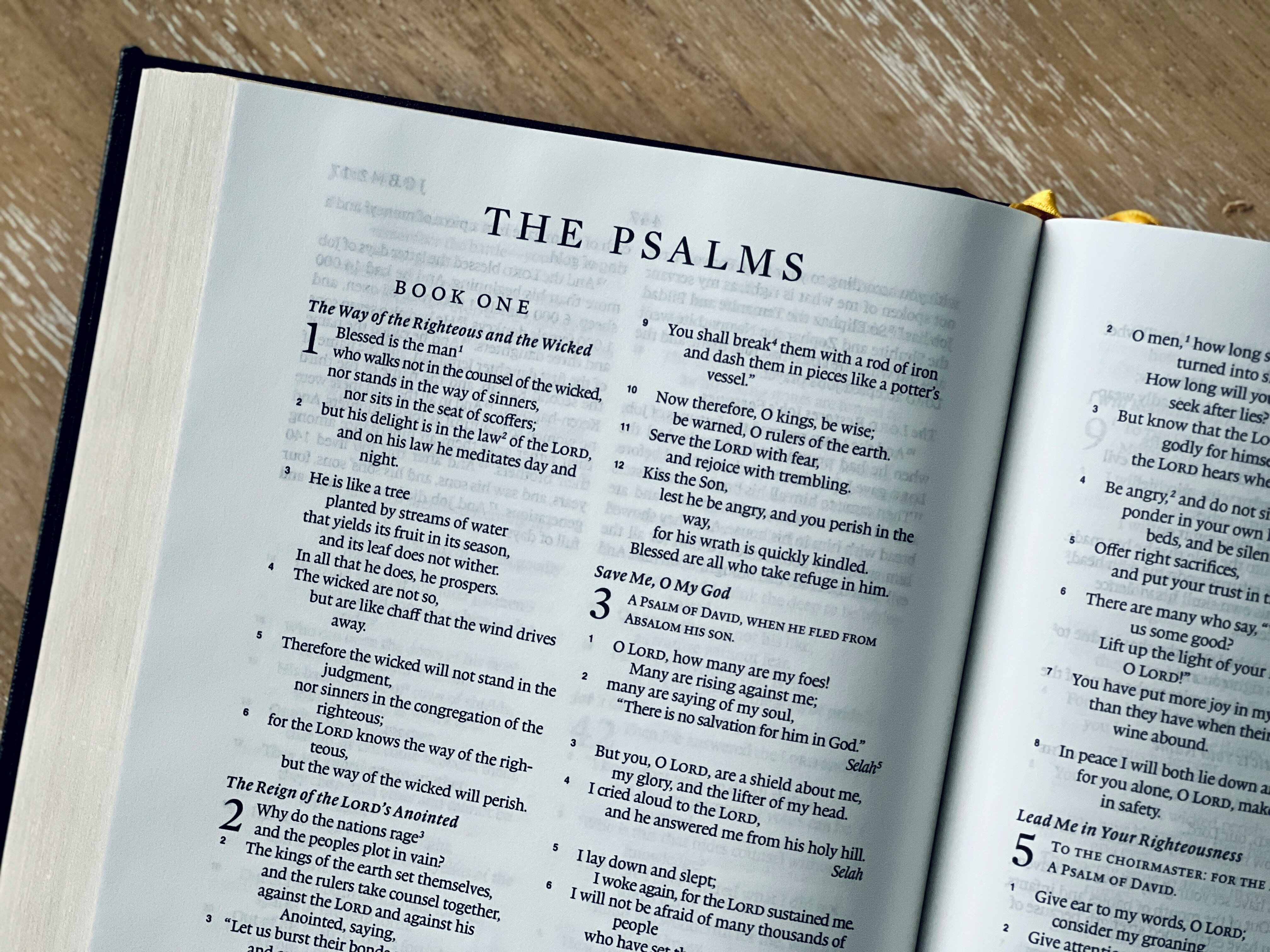 Reclaiming God’s Playground: Poetry, Truth, and the Christian Imagination