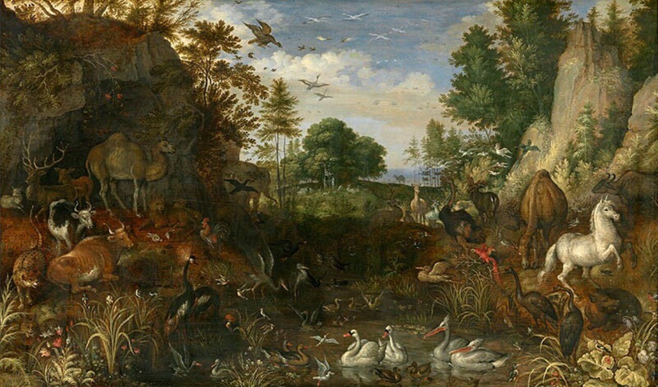 A Zoological Theology
