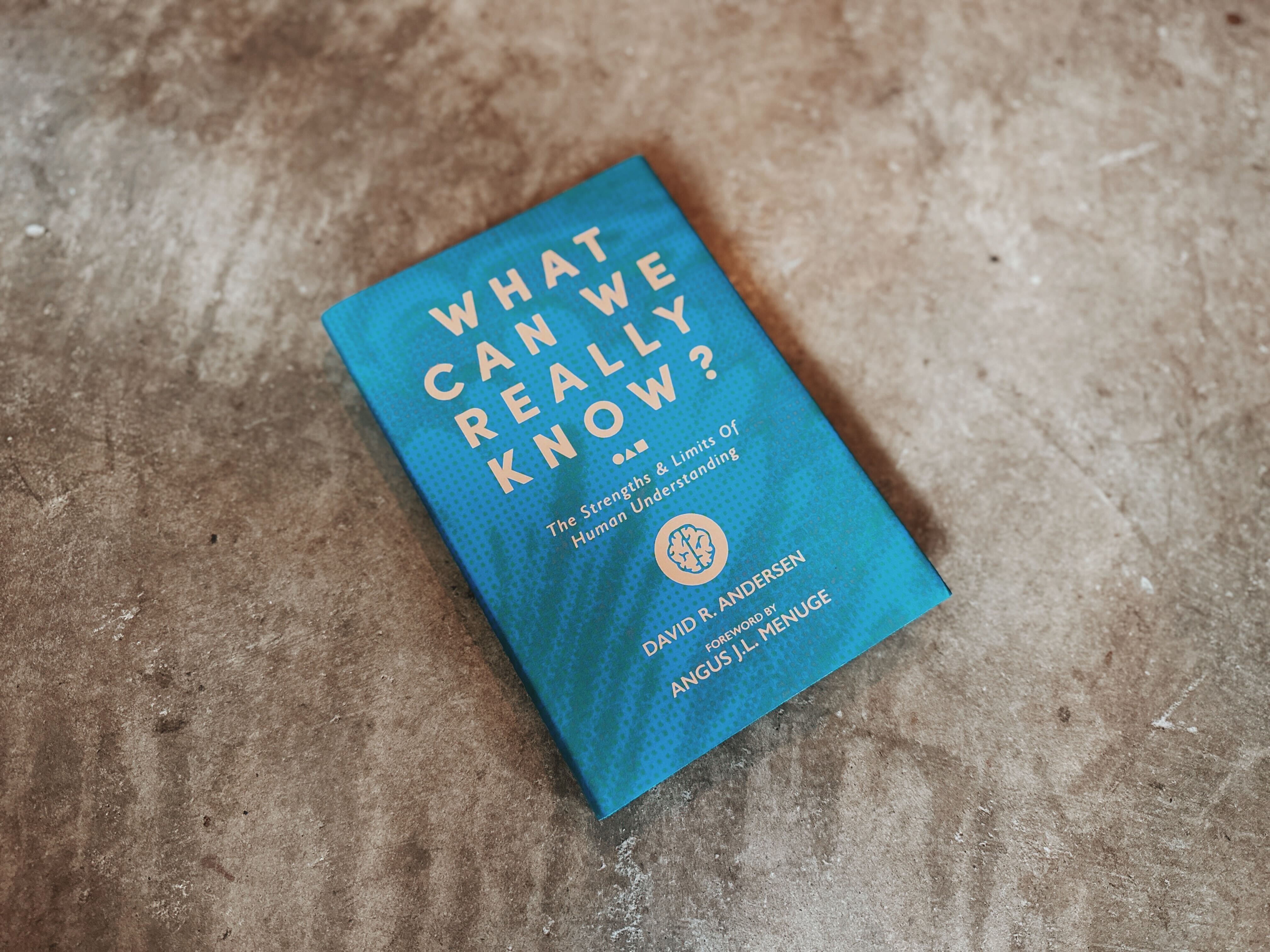 An Excerpt from What Can Really Know? by David Andersen