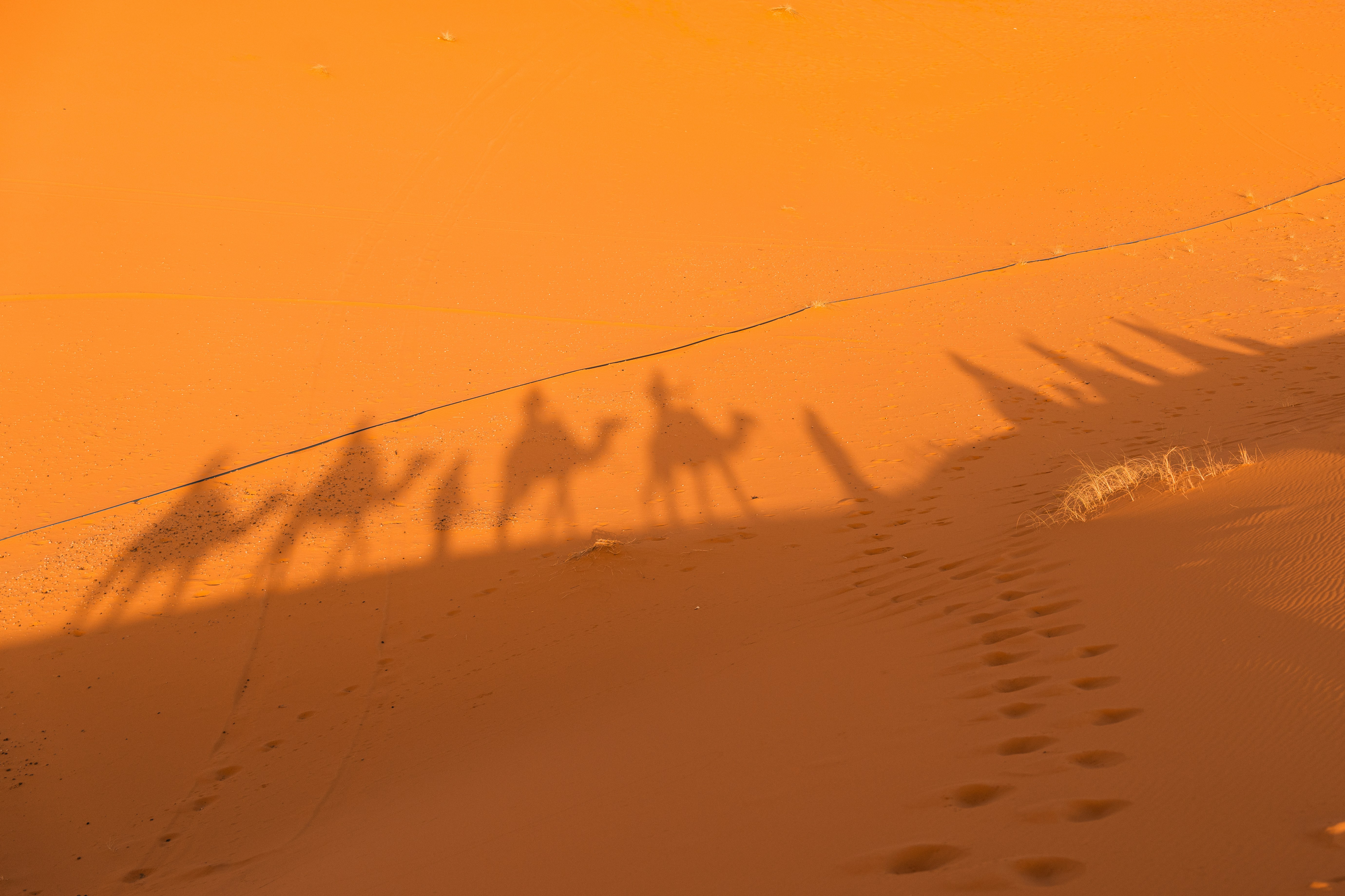 Shattered Expectations and Steadfast Grace