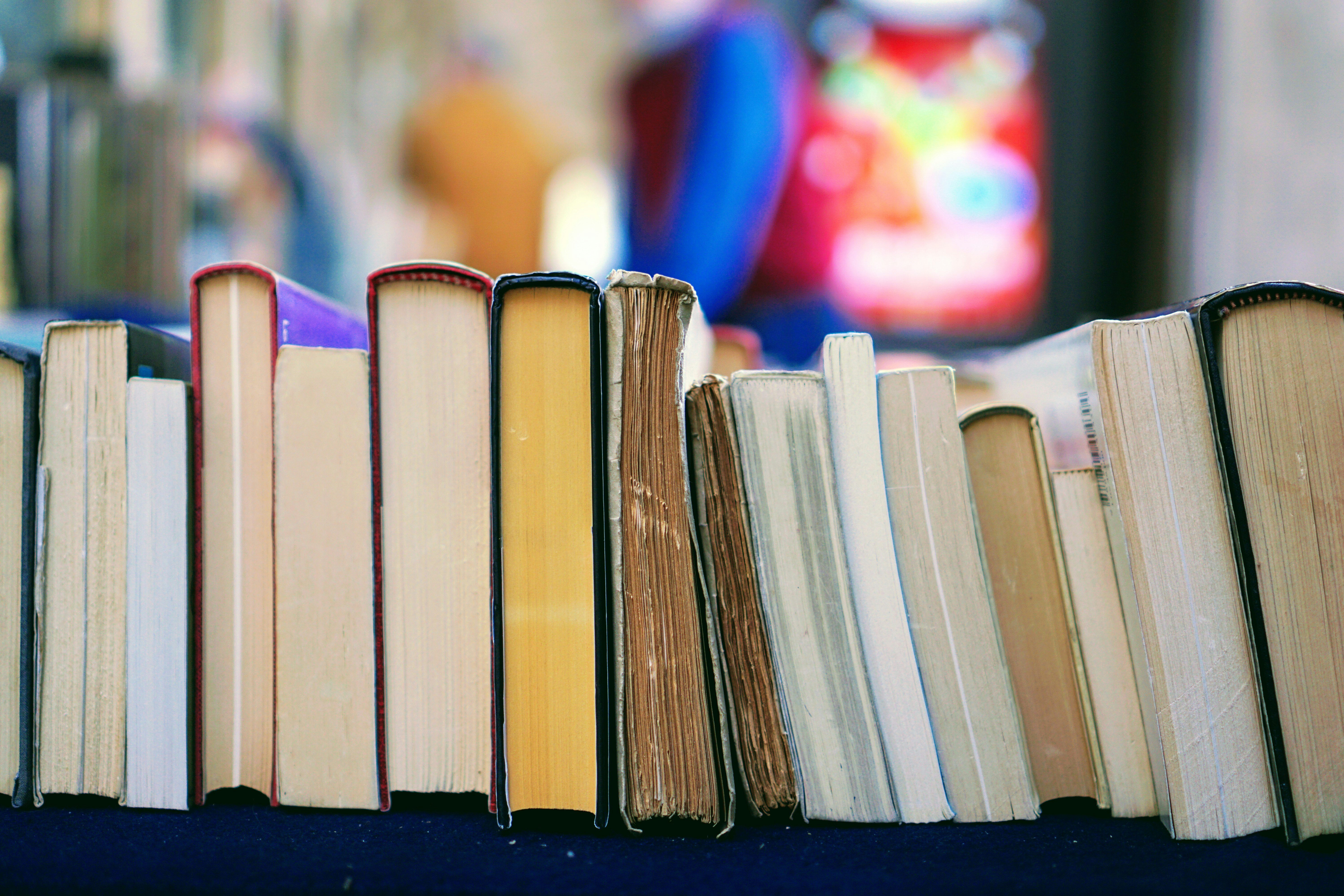 Our Summer Reading List 2024