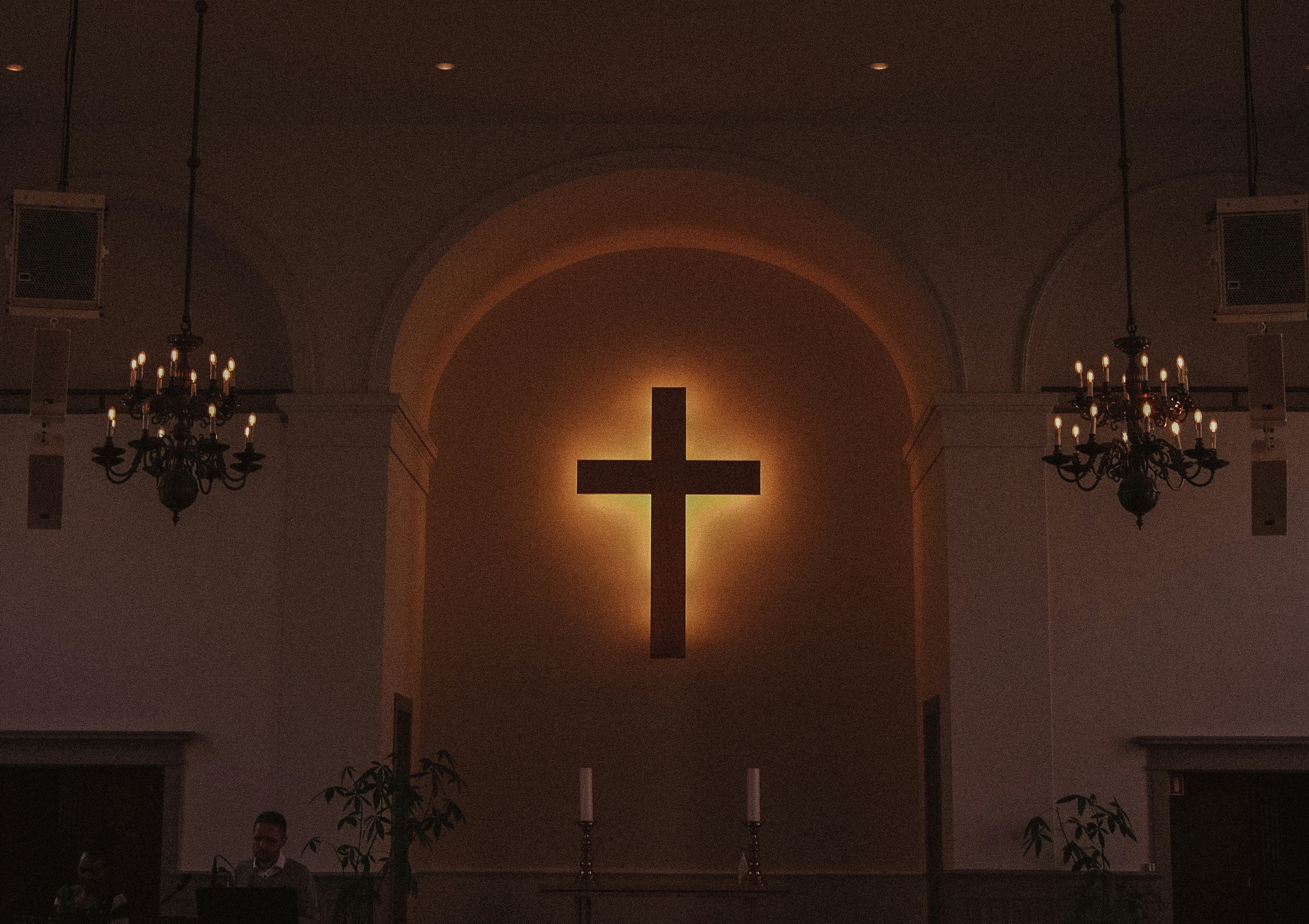 Freed Us and Loves Us