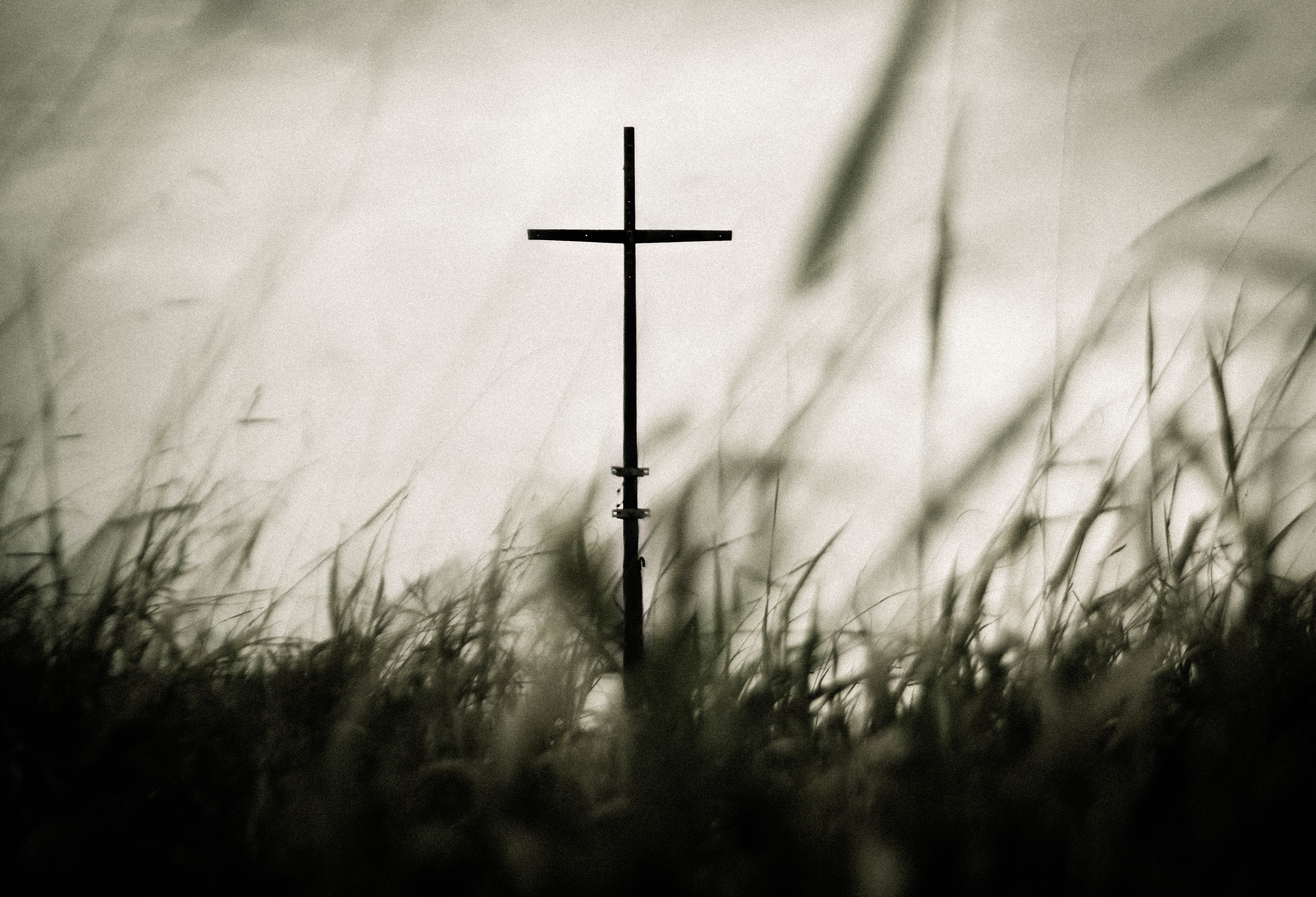 The Body of God and the Scandal of Our Dying Brother