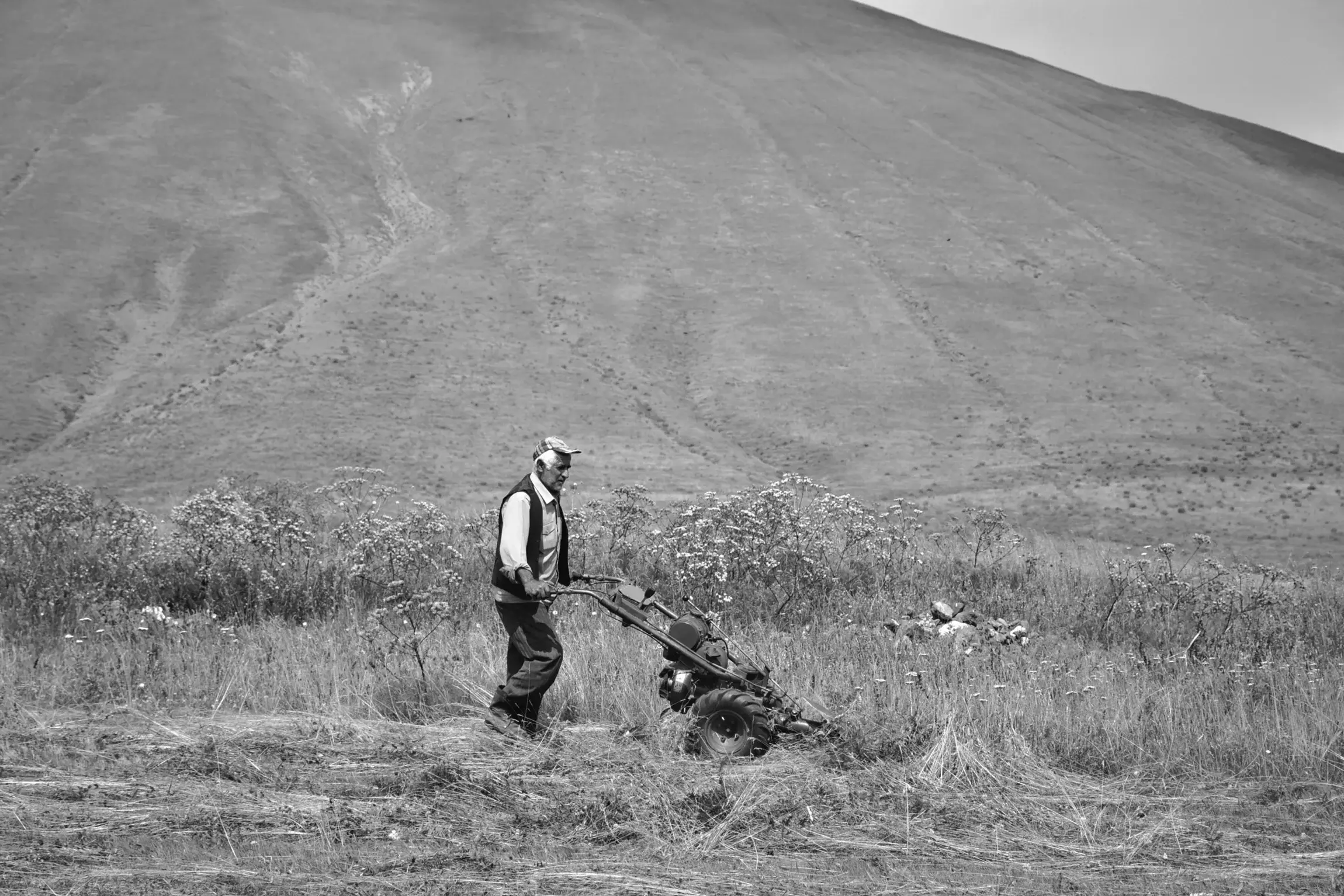 Who Puts His Hand to the Plow?