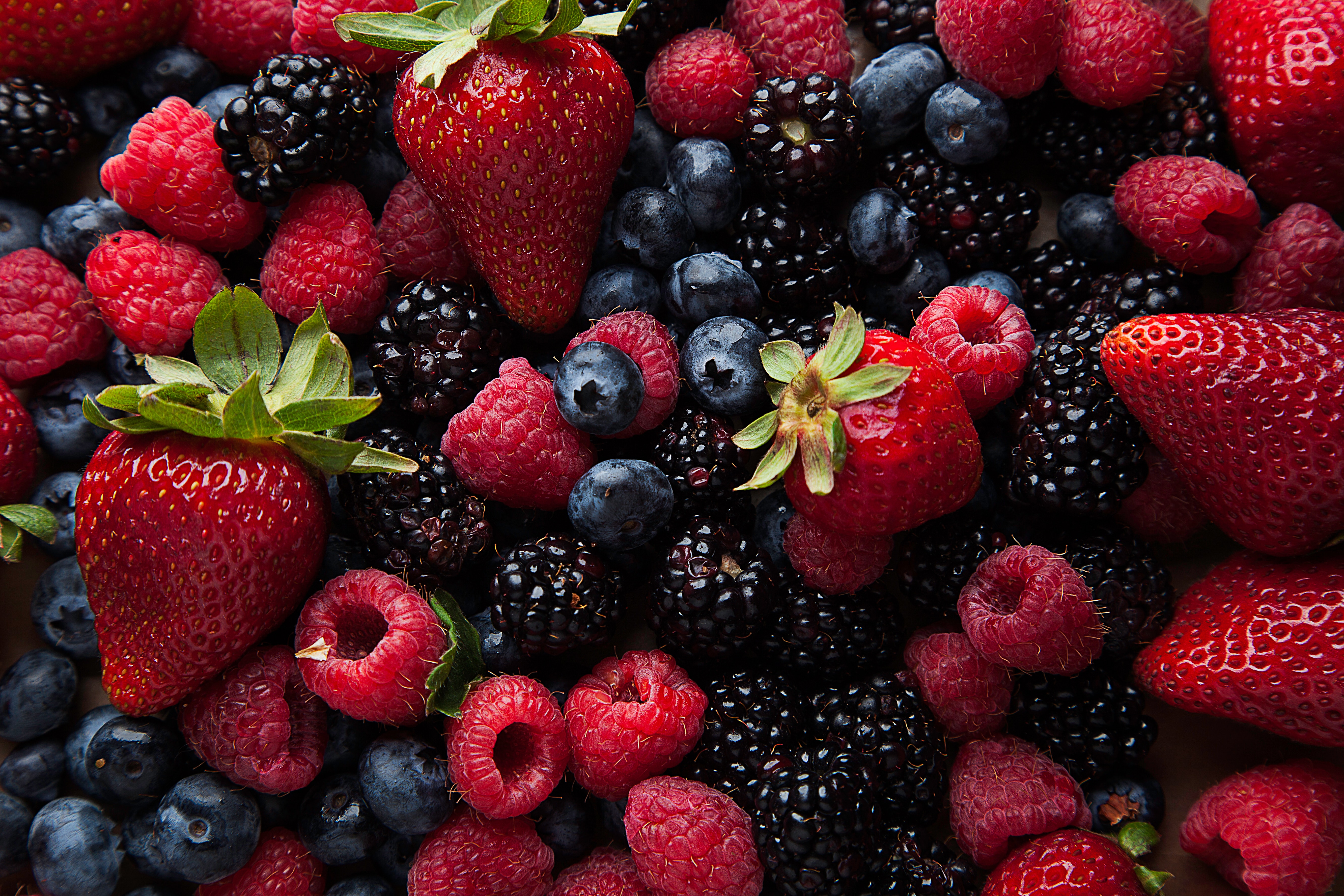 The Holy Spirit's Succulent Fruit