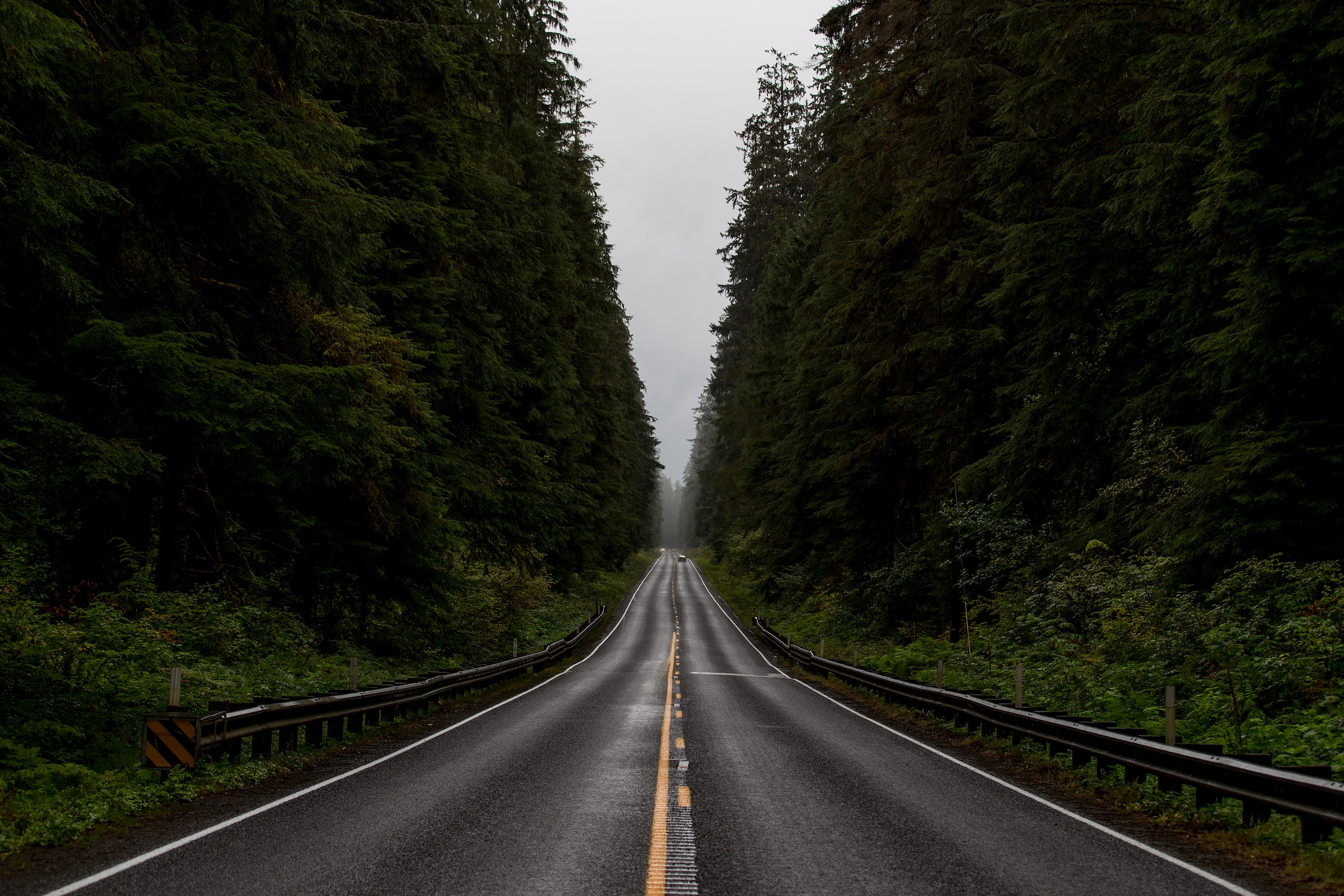 294: Paulson - Trying to Believe in Double Predestination