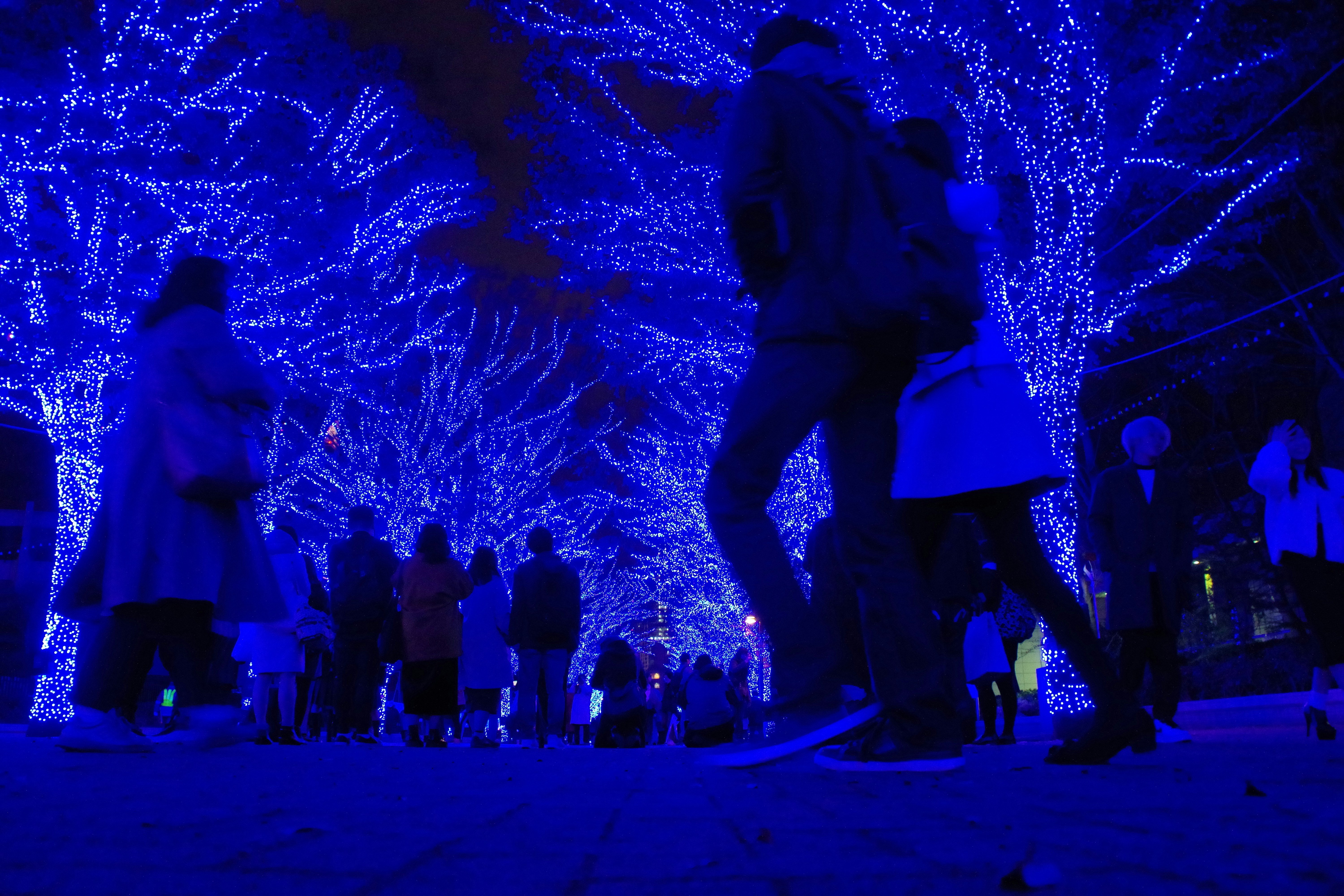 Comfort During a Blue Christmas