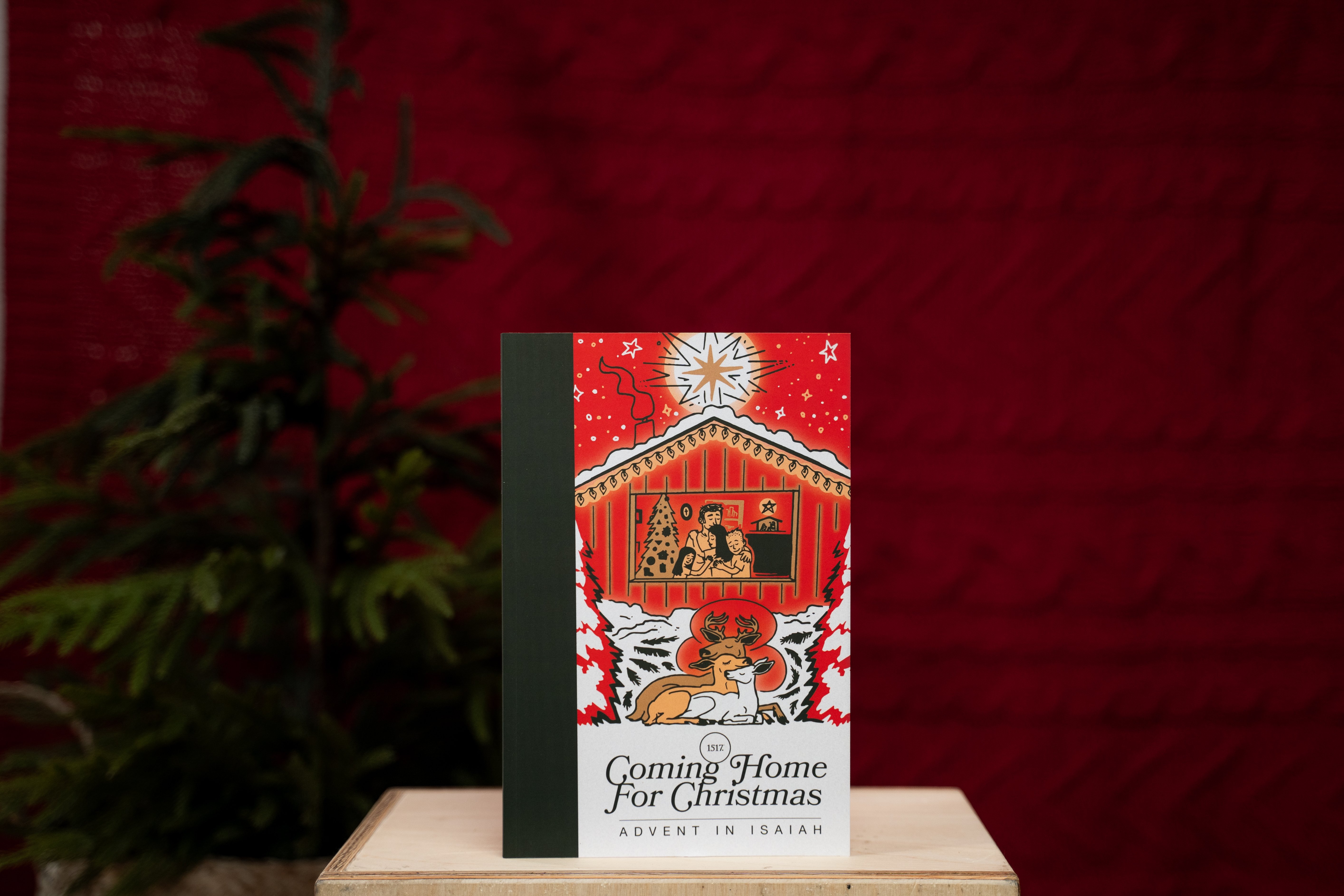 An Excerpt from Coming Home for Christmas: Advent in Isaiah Devotional