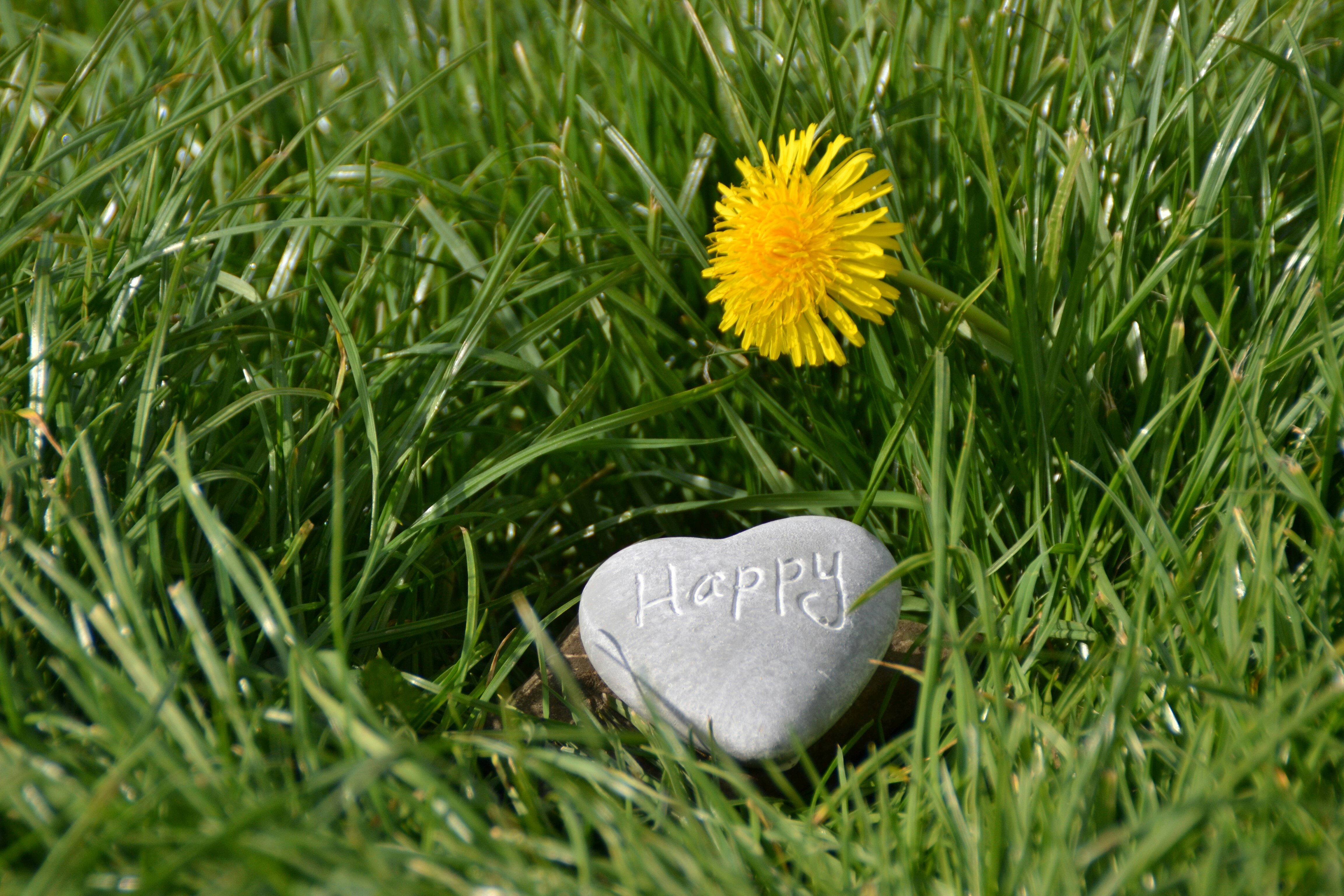 Rehabilitating Happiness