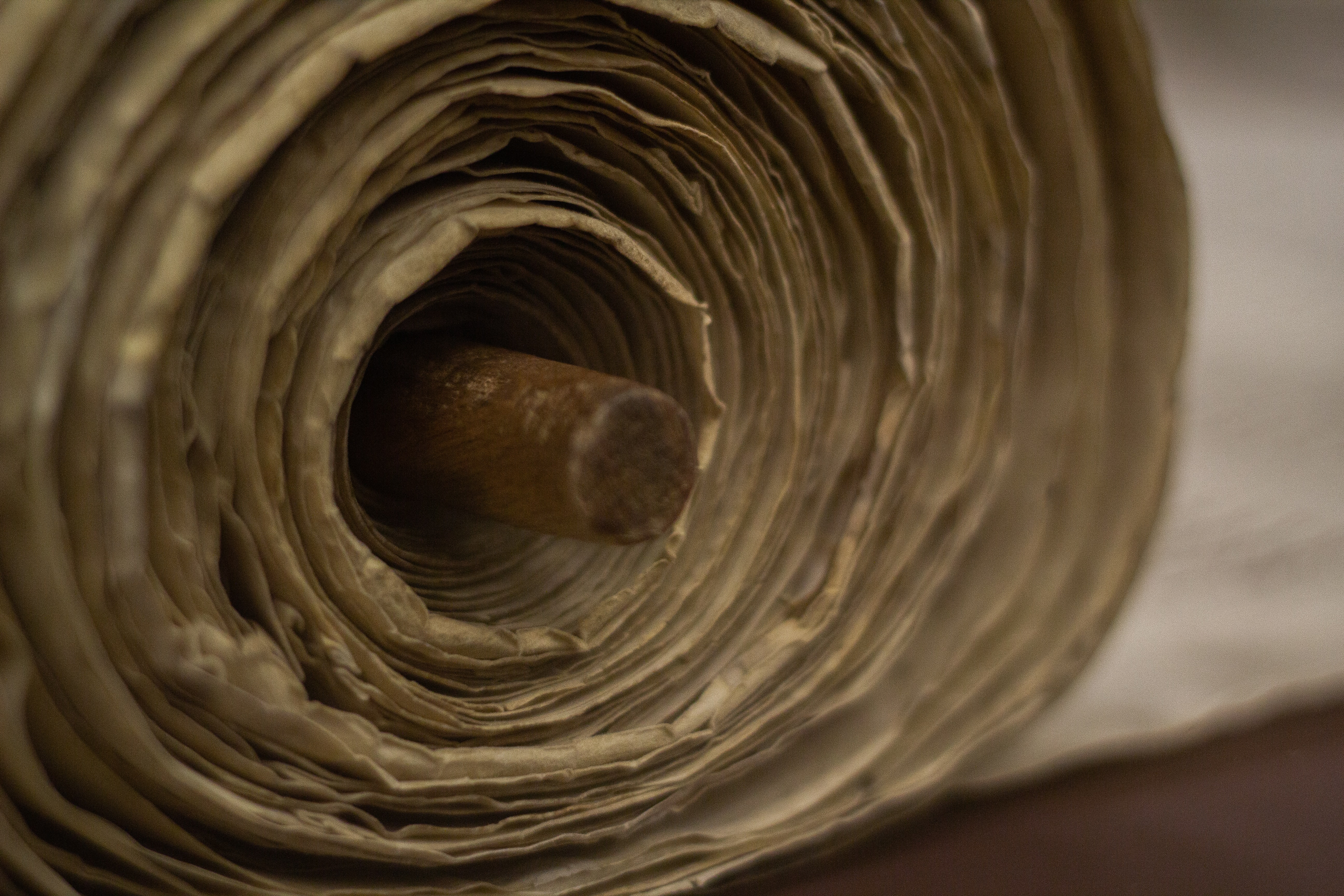 281: The Torah Anticipates Lawbreaking