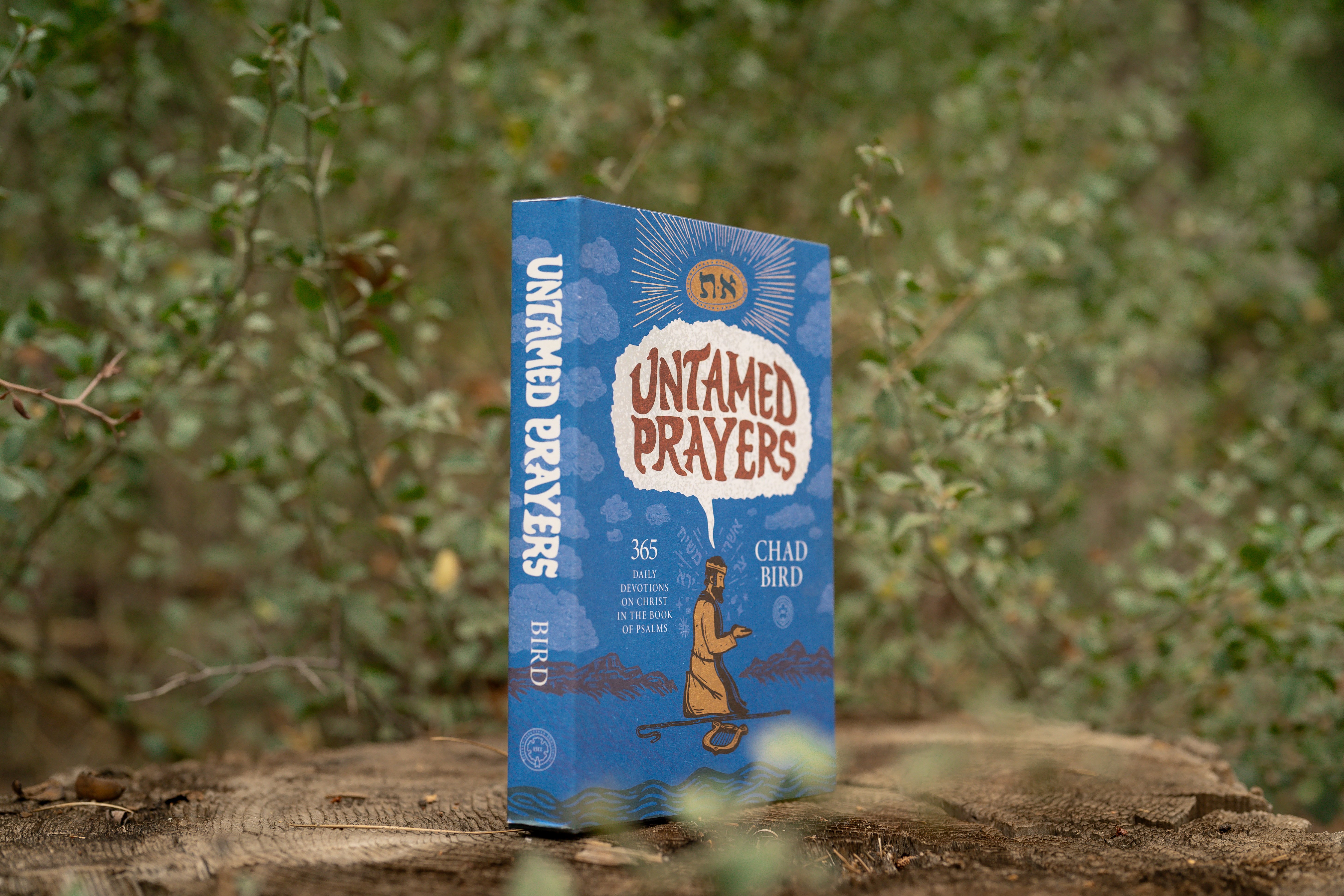 An Excerpt from Untamed Prayers: Psalm 86