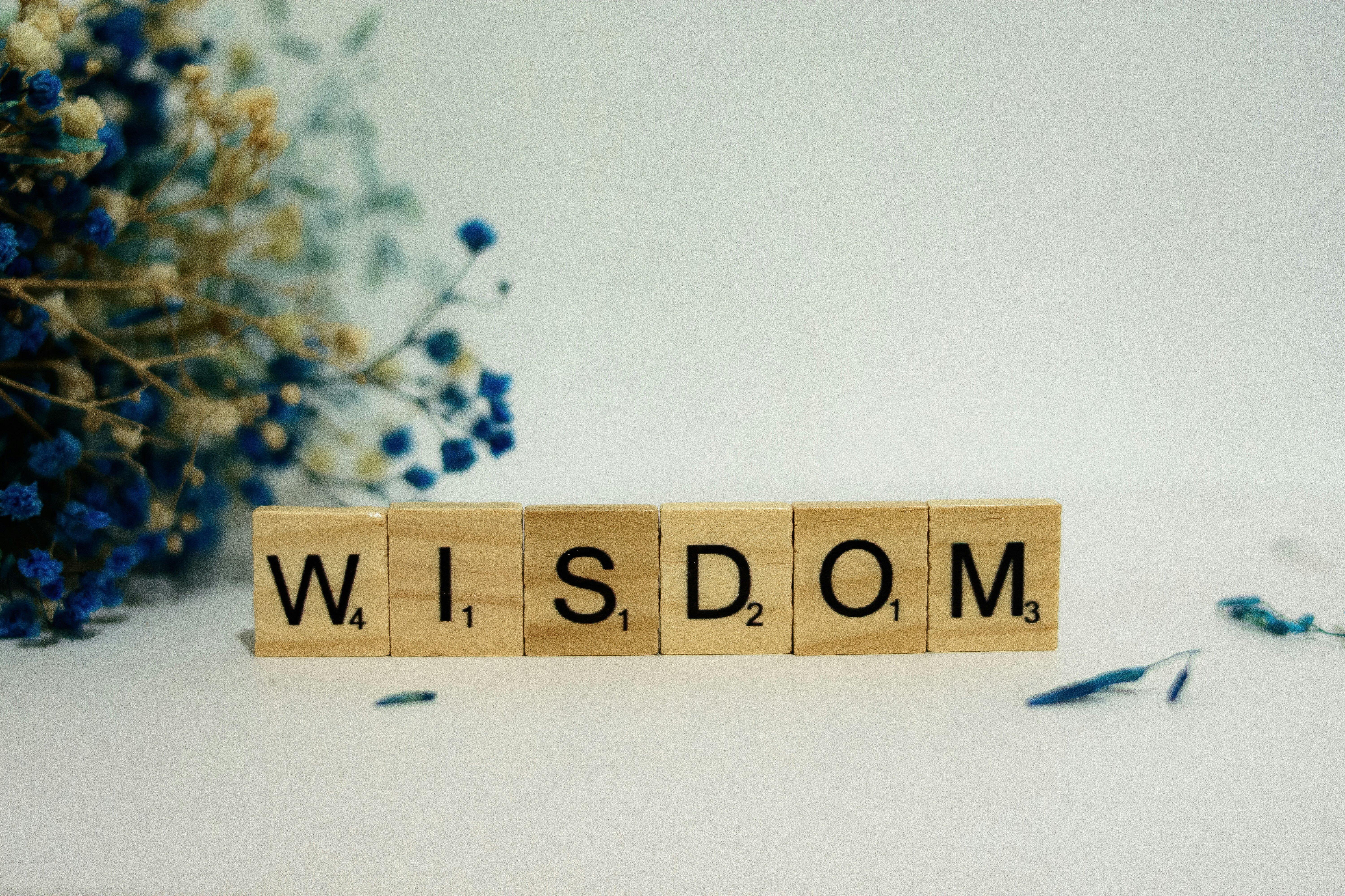 What the Bible’s Wisdom Books Say about Human Suffering